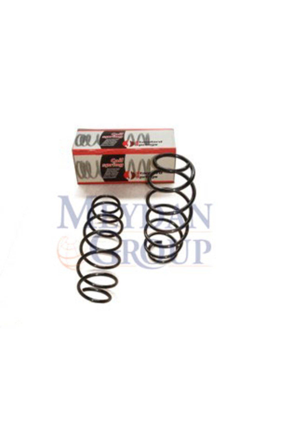 CITROEN C3- 03/09; ÖN HELEZON YAYI SAĞ/SOL (2Lİ SET) 1.4HDI 16V (11,25X143X469)(STDR)