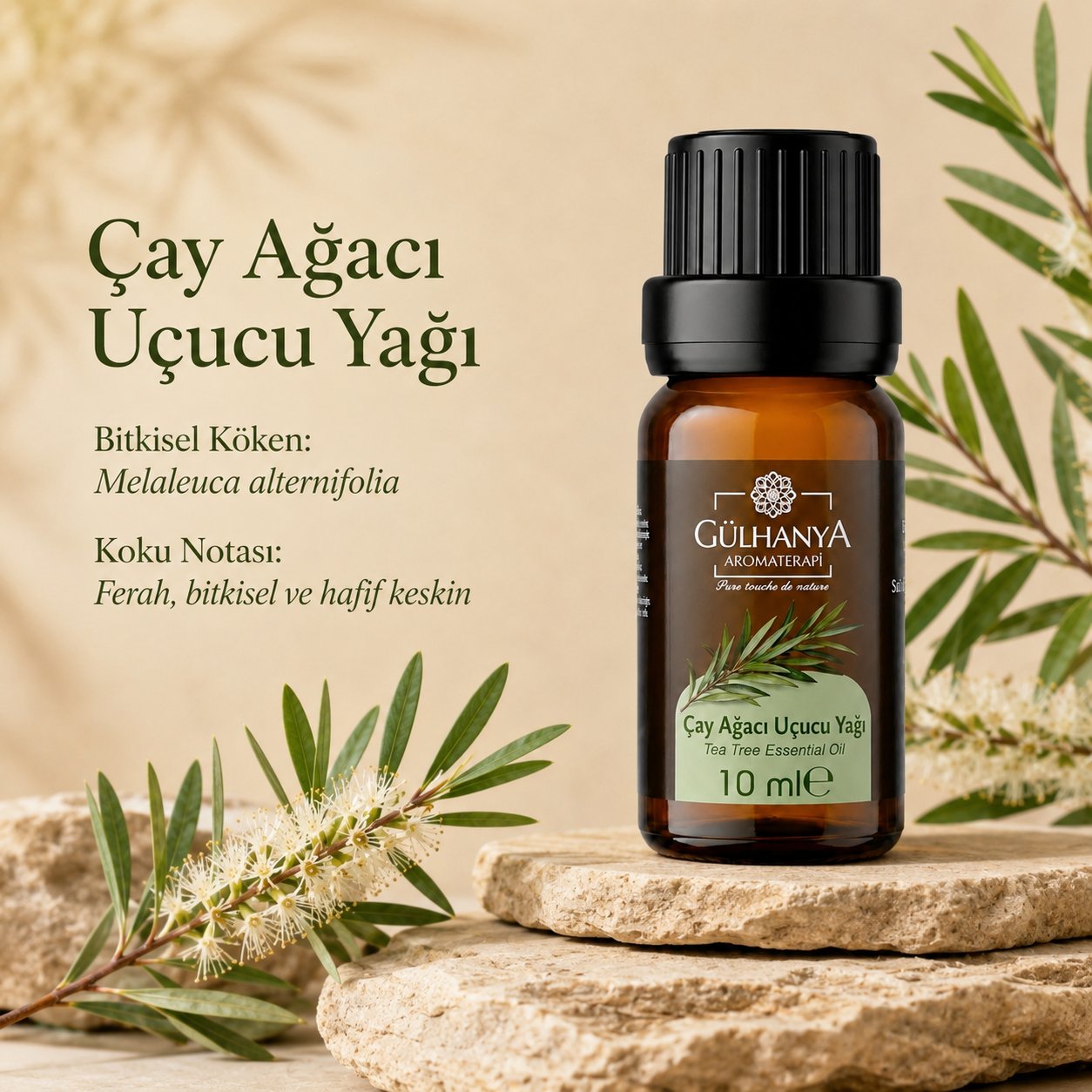 Çay Ağacı Uçucu Yağı 10ml