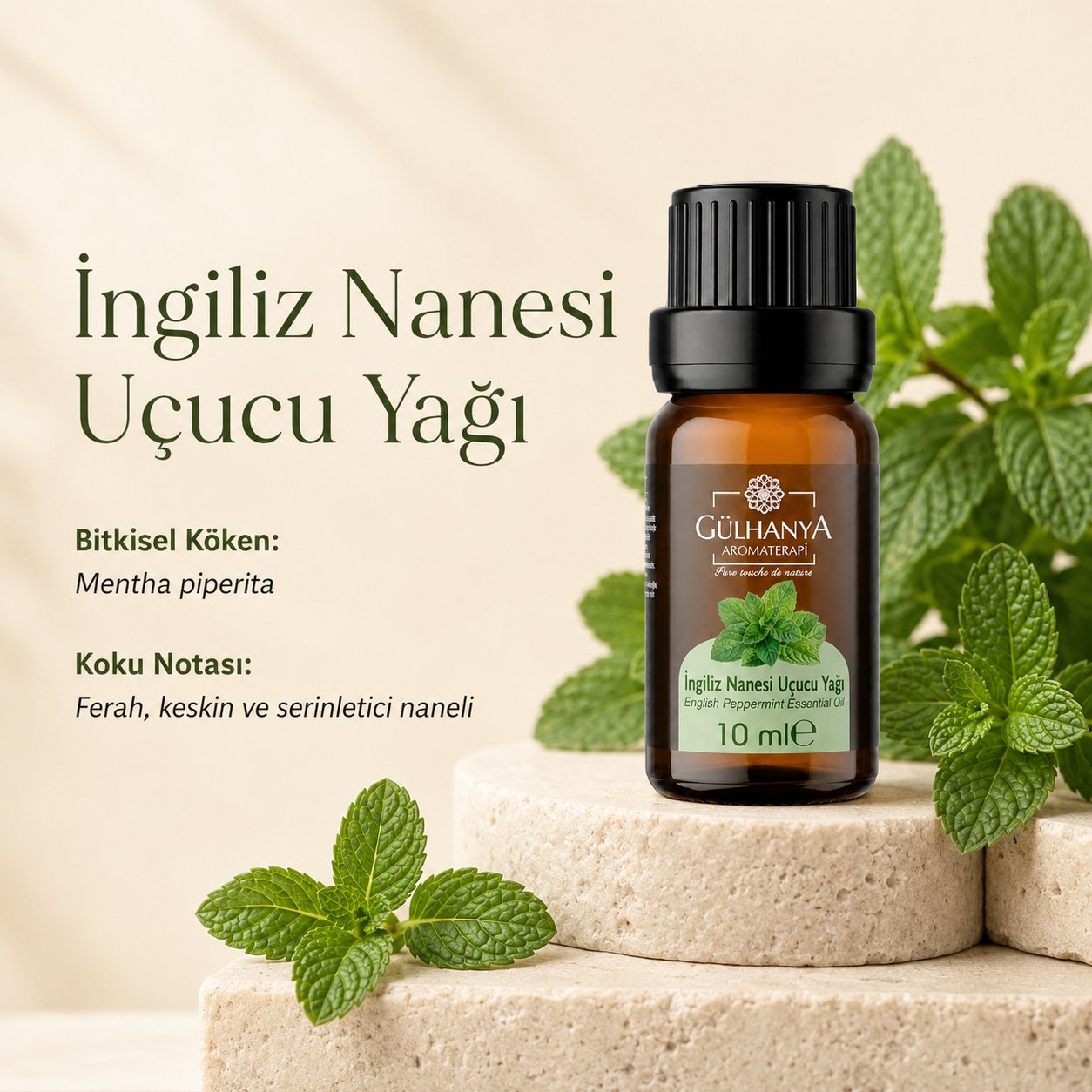 İngiliz Nanesi Uçucu Yağı 10ml