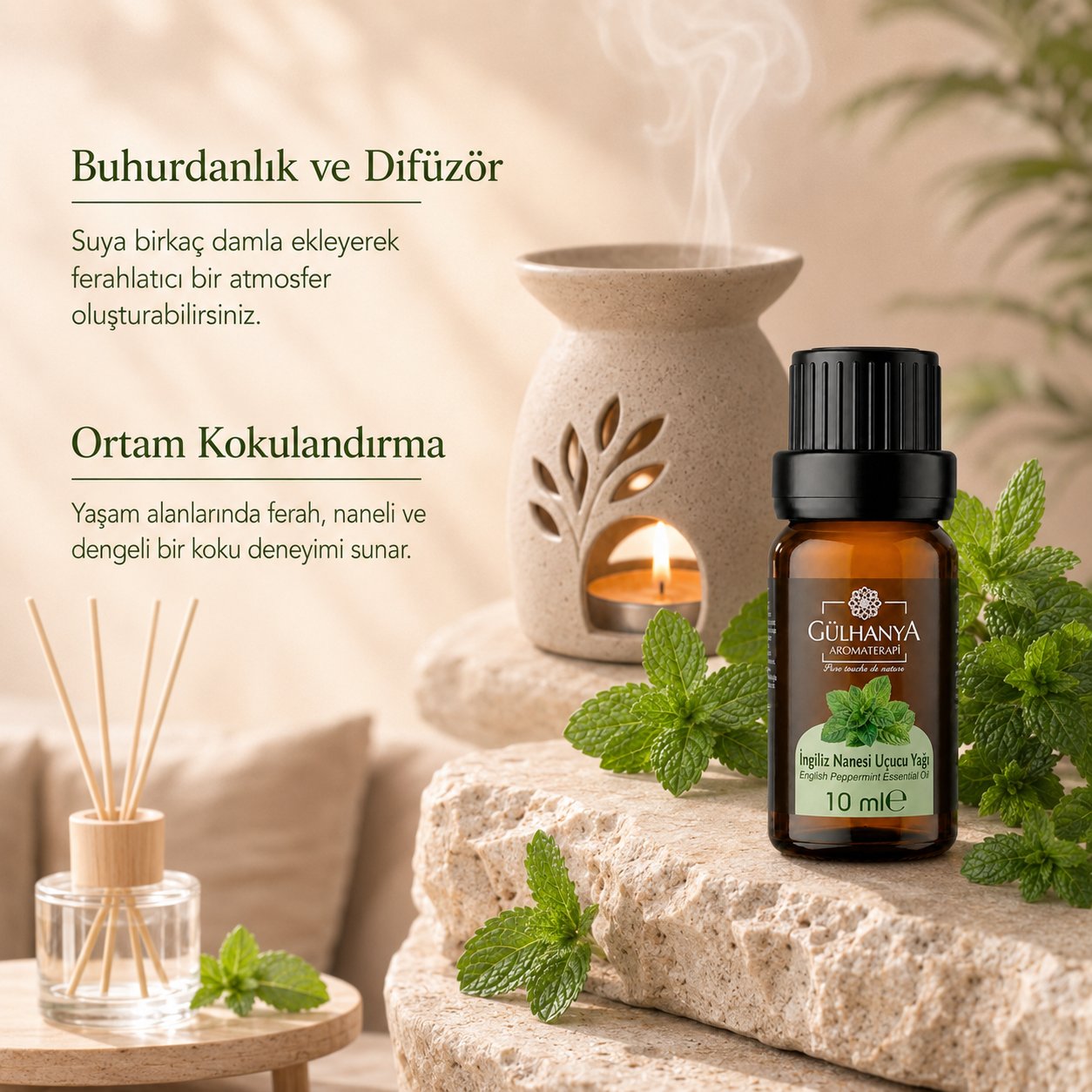 İngiliz Nanesi Uçucu Yağı 10ml