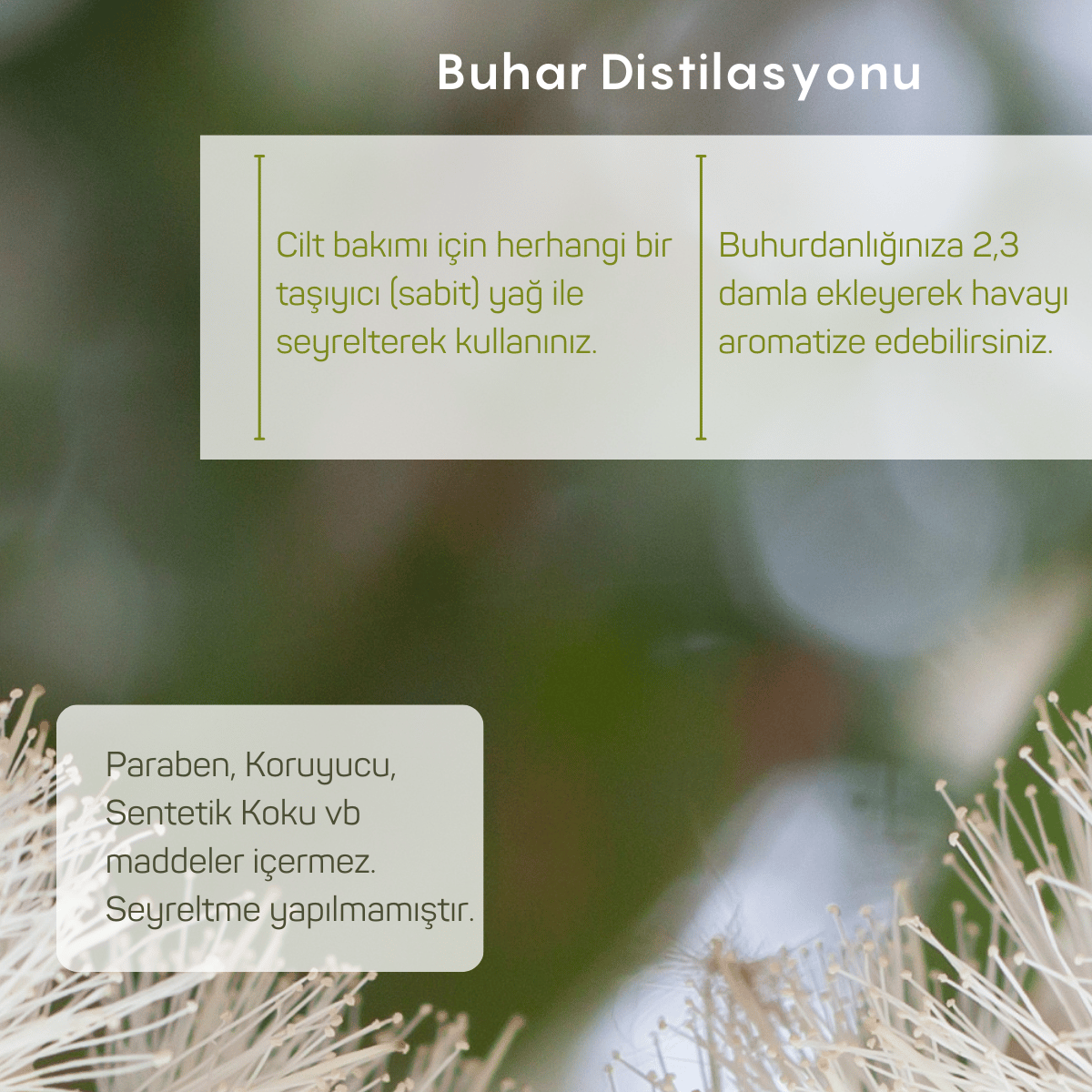 Niaouli Uçucu Yağı 10ml