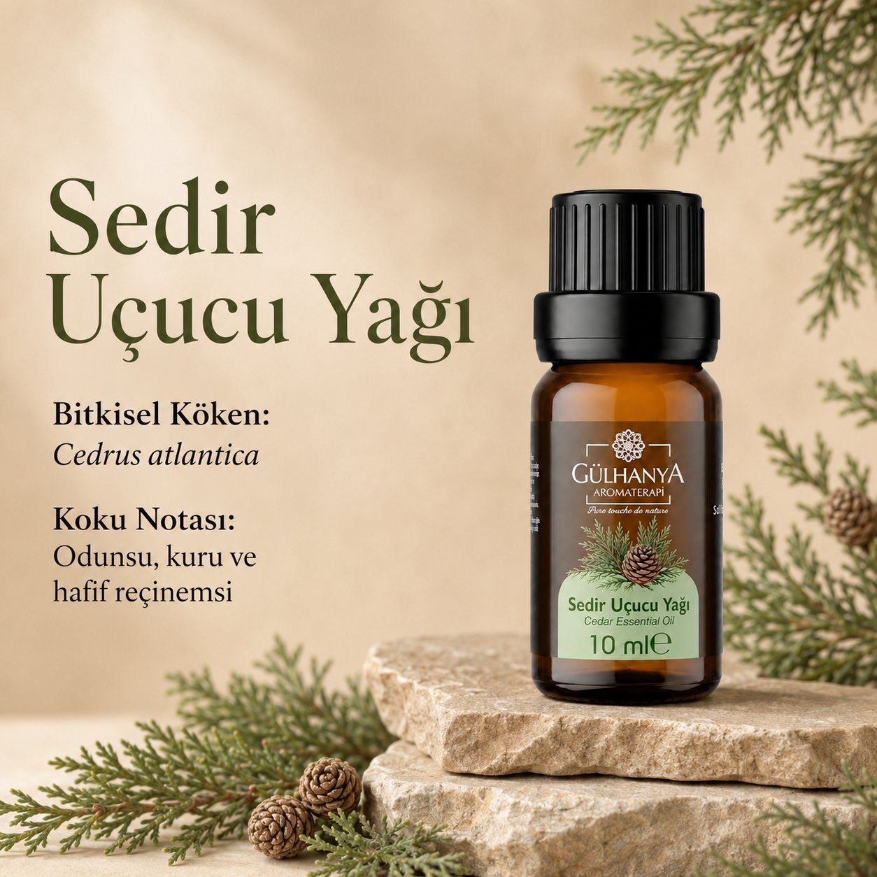 Sedir Uçucu Yağı 10ml