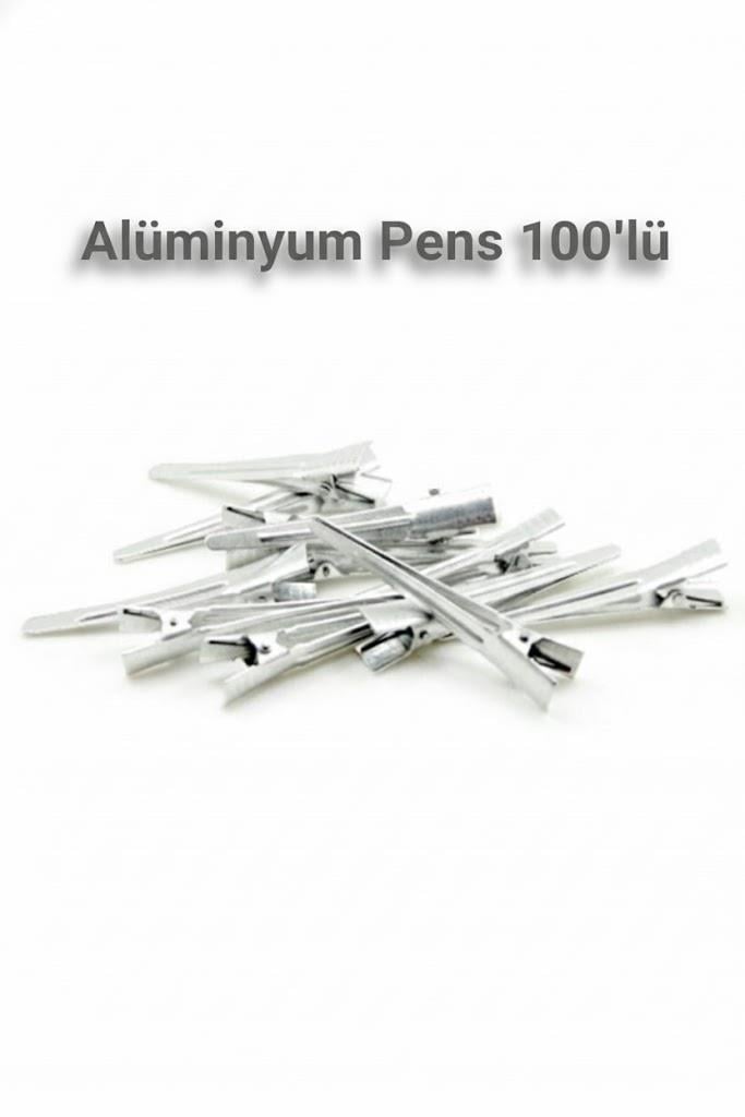Antaç Alüminyum Pens 100'lü