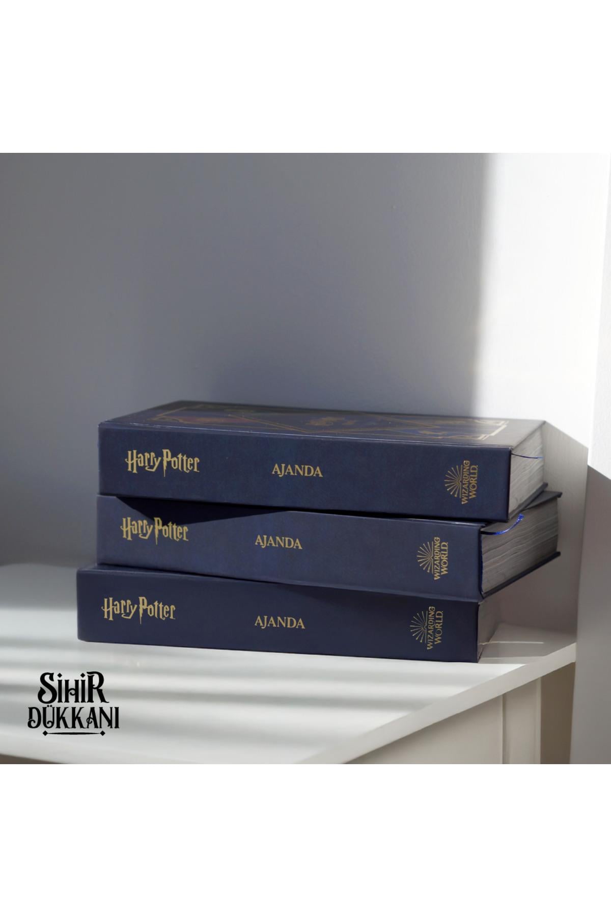 Harry Potter Ajanda 2025