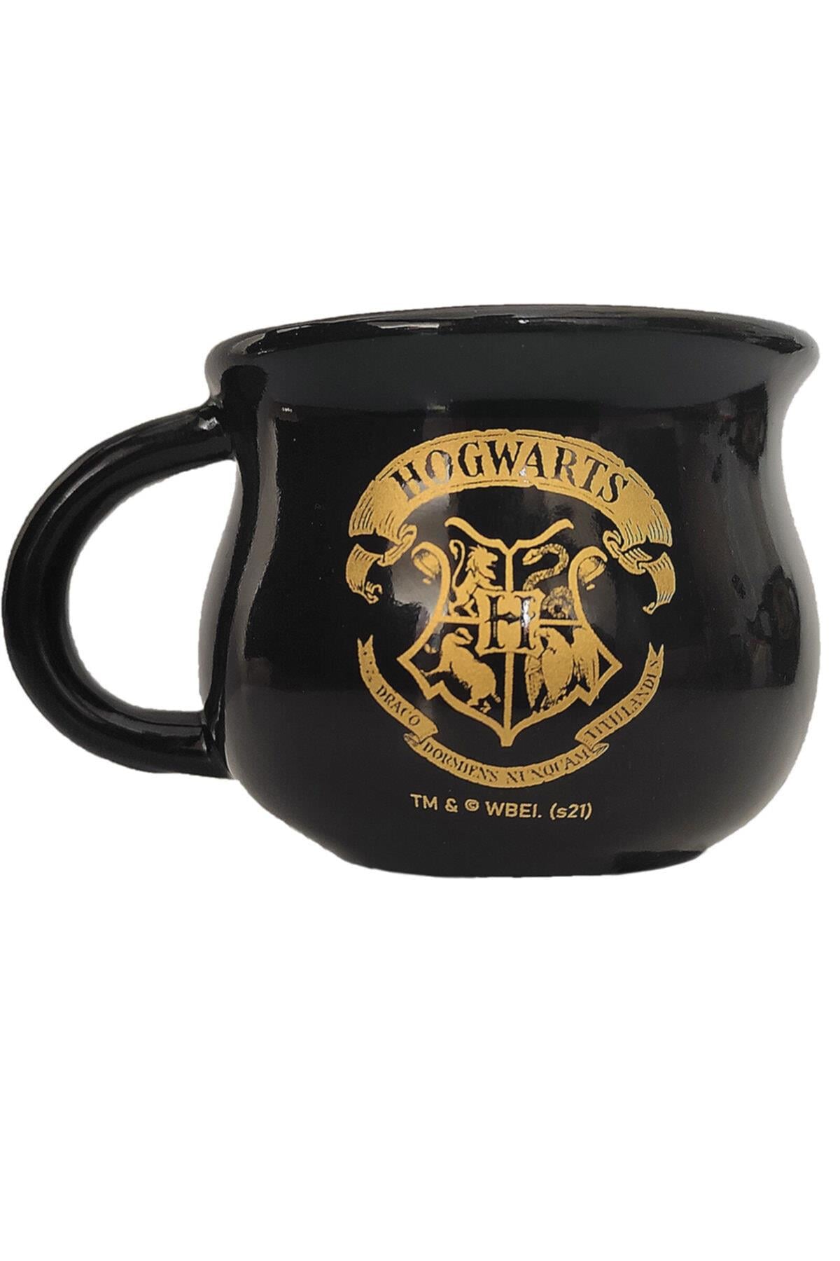 Harry Potter Kazan - Hogwars