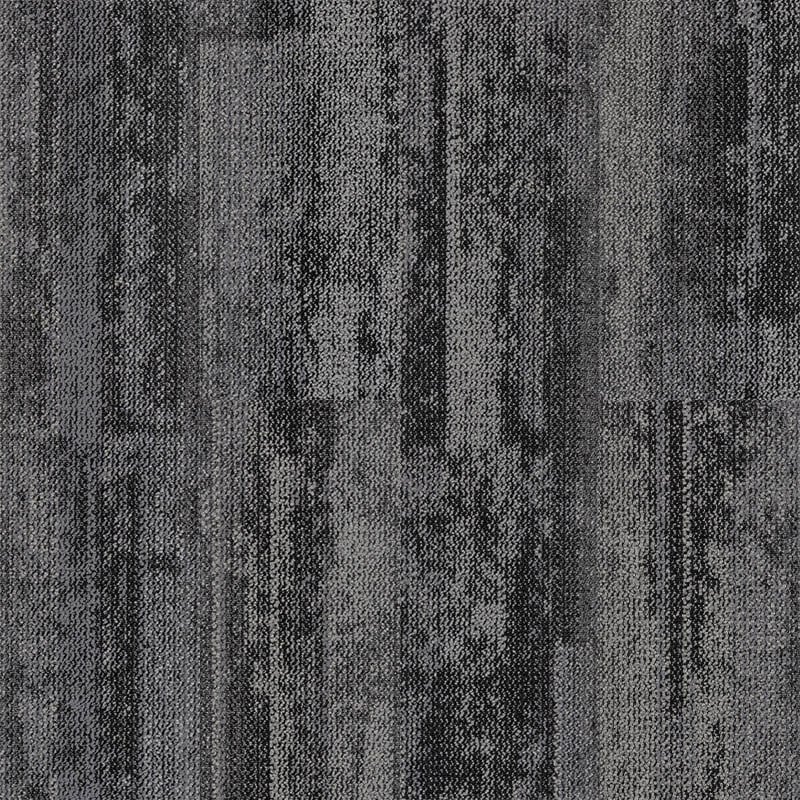 Aristoteles 06 (25×100)