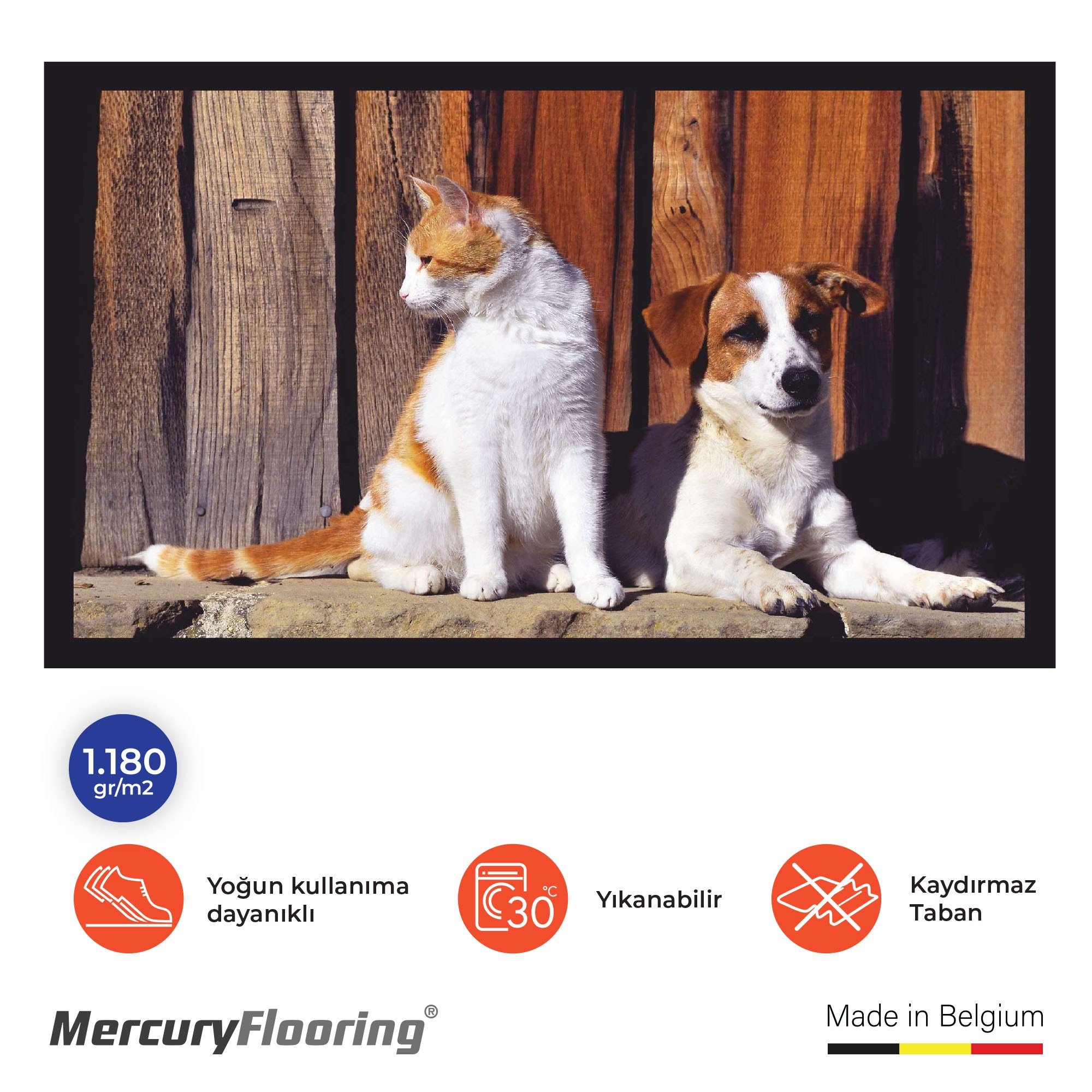 Cat & Dog Velvet Paspas – Dijital Baskılı Şık ve Eğlenceli Giriş Paspası 45×75