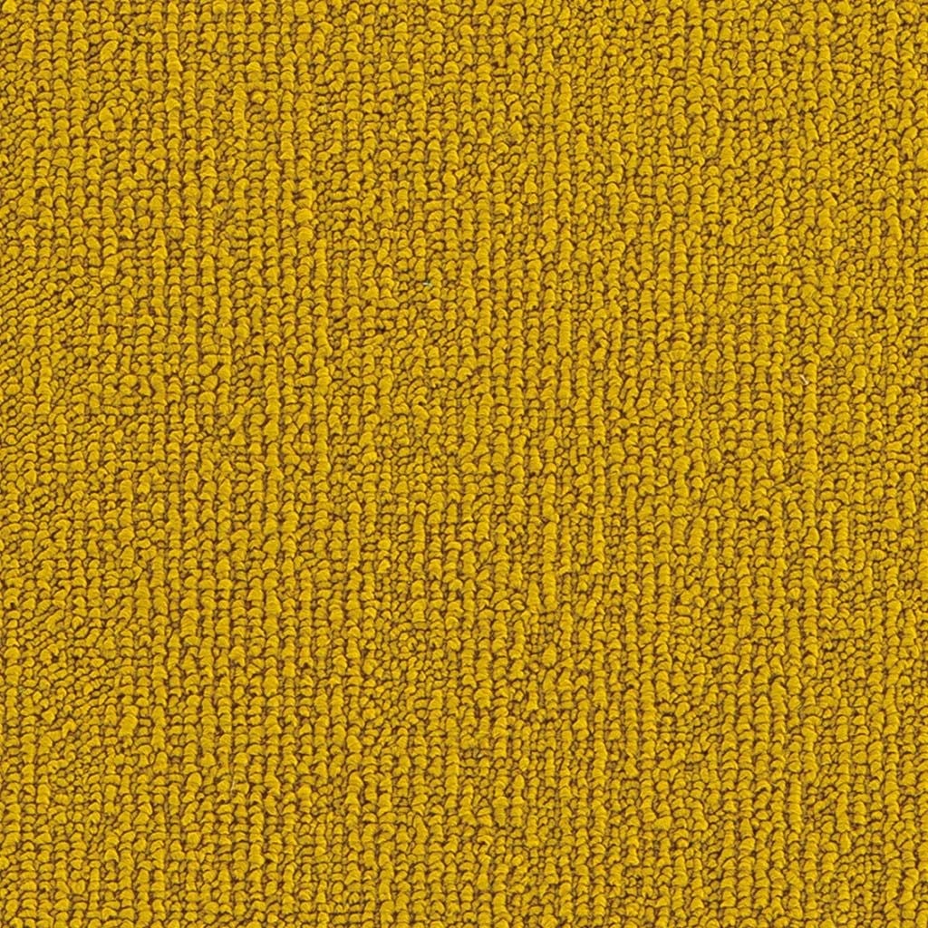 Darwin 33 (25x100cm)