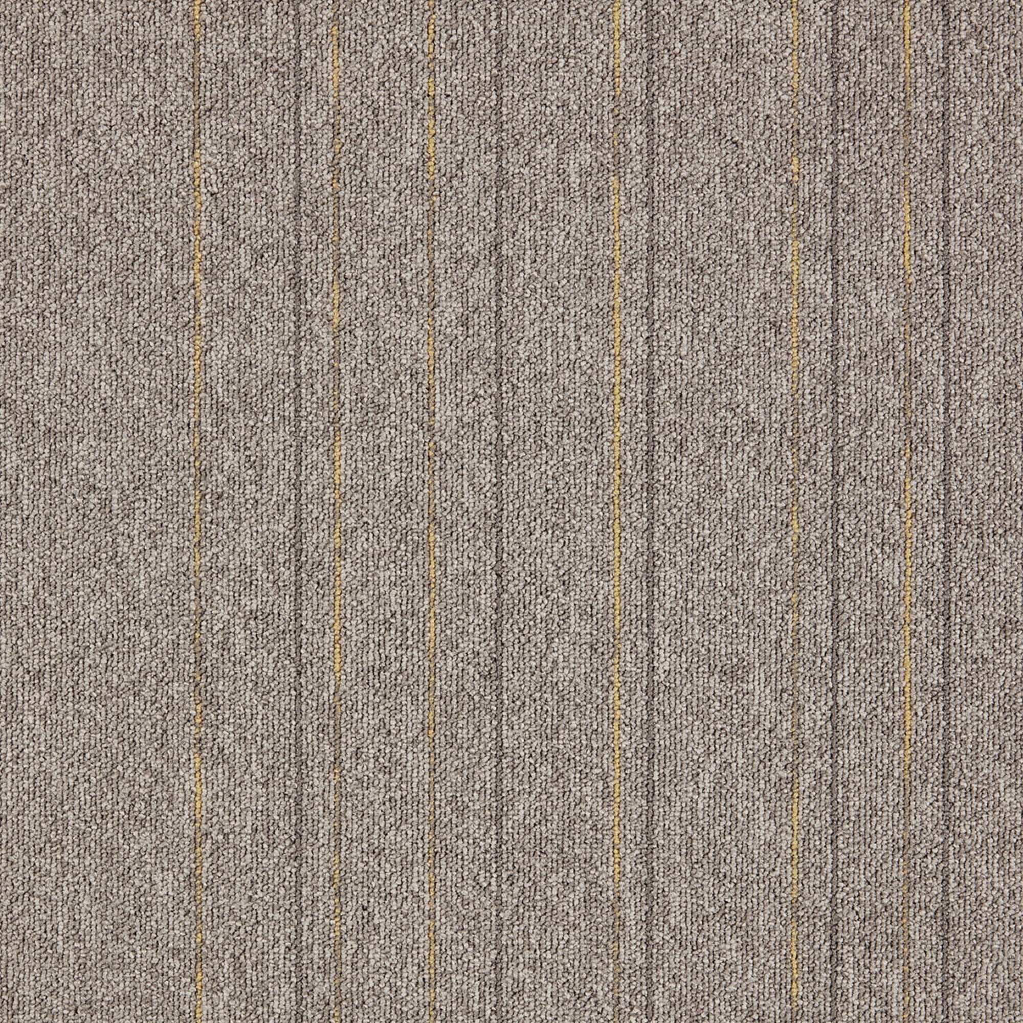 First Straightline 142 (50×50)