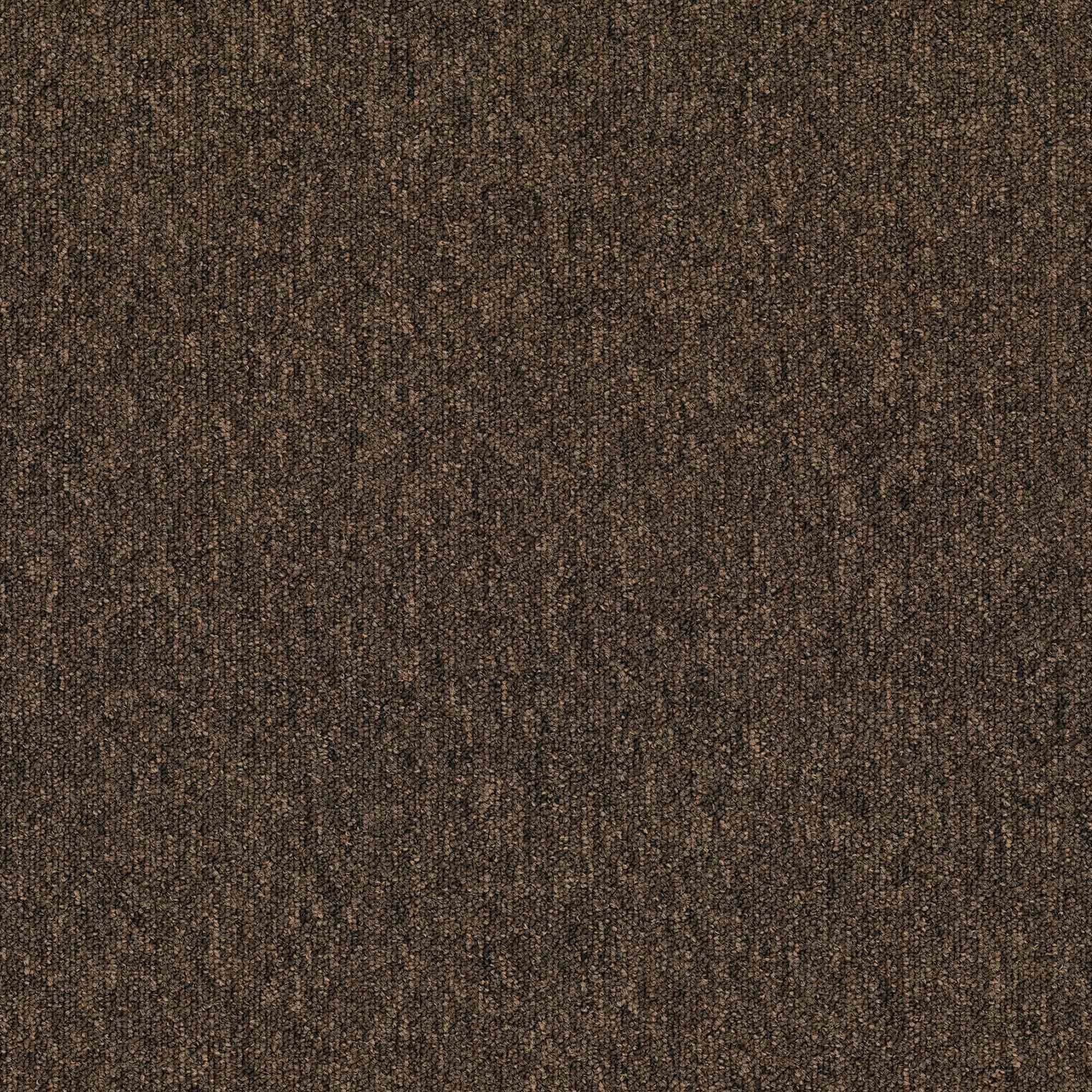 Monos 883 (50×50)