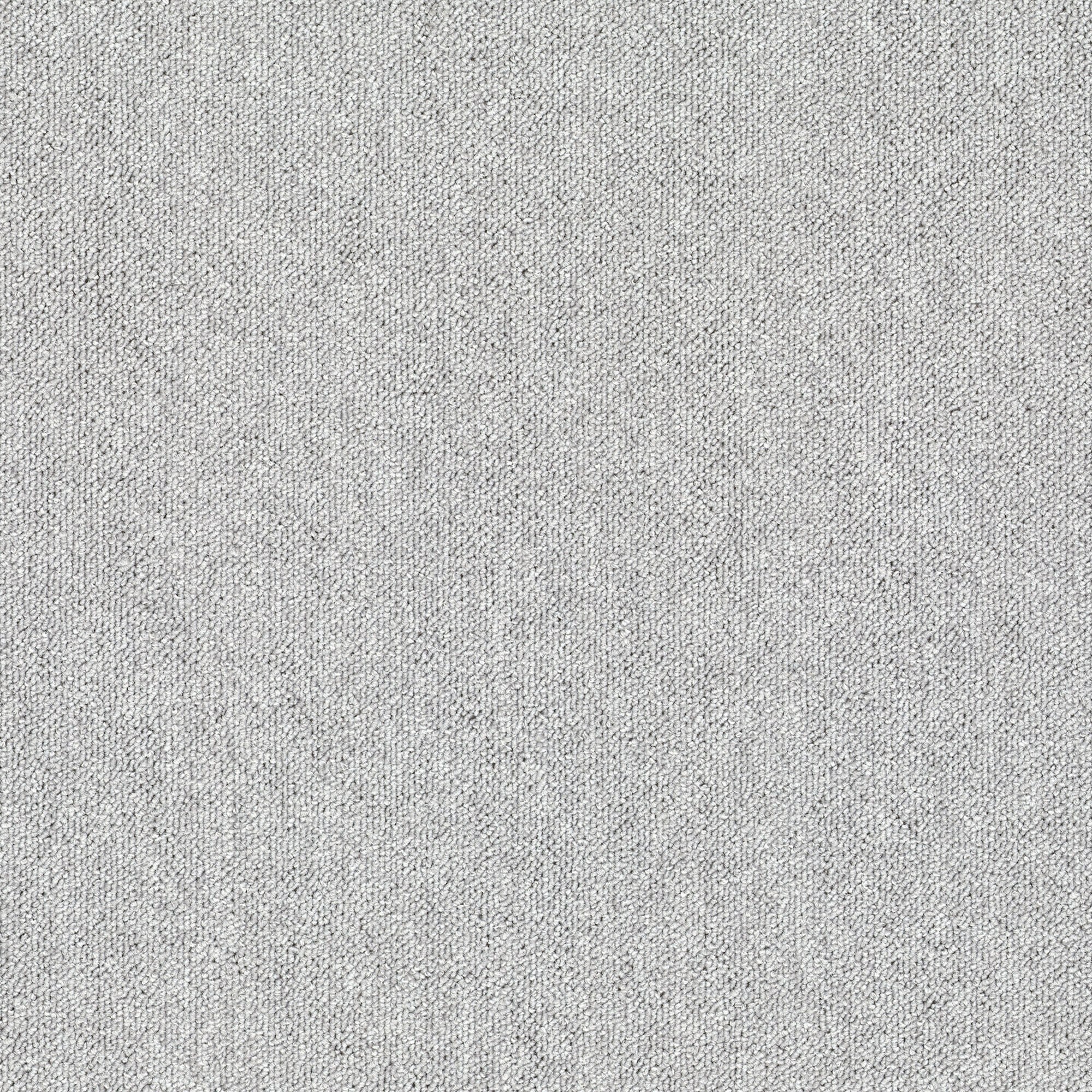 Monos 979 (50×50)