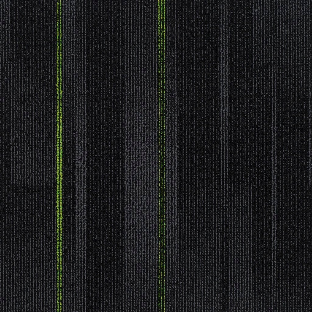 Pasteur 18 (50×50)