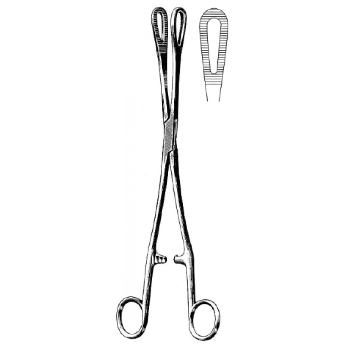 16.0072.25 Rampley  Forseps 25cm