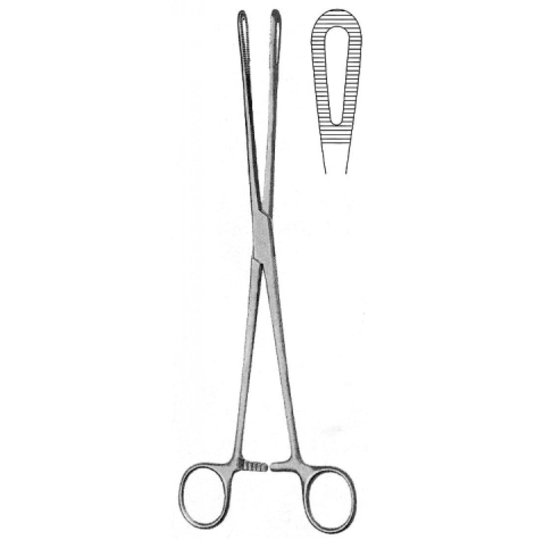 16.0074.18 Rampley Sünger Tutma Forsepsi 18cm
