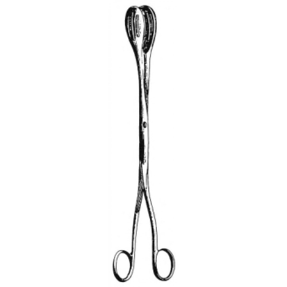 62.0400.25 Heywood Smith Forseps 25.5cm