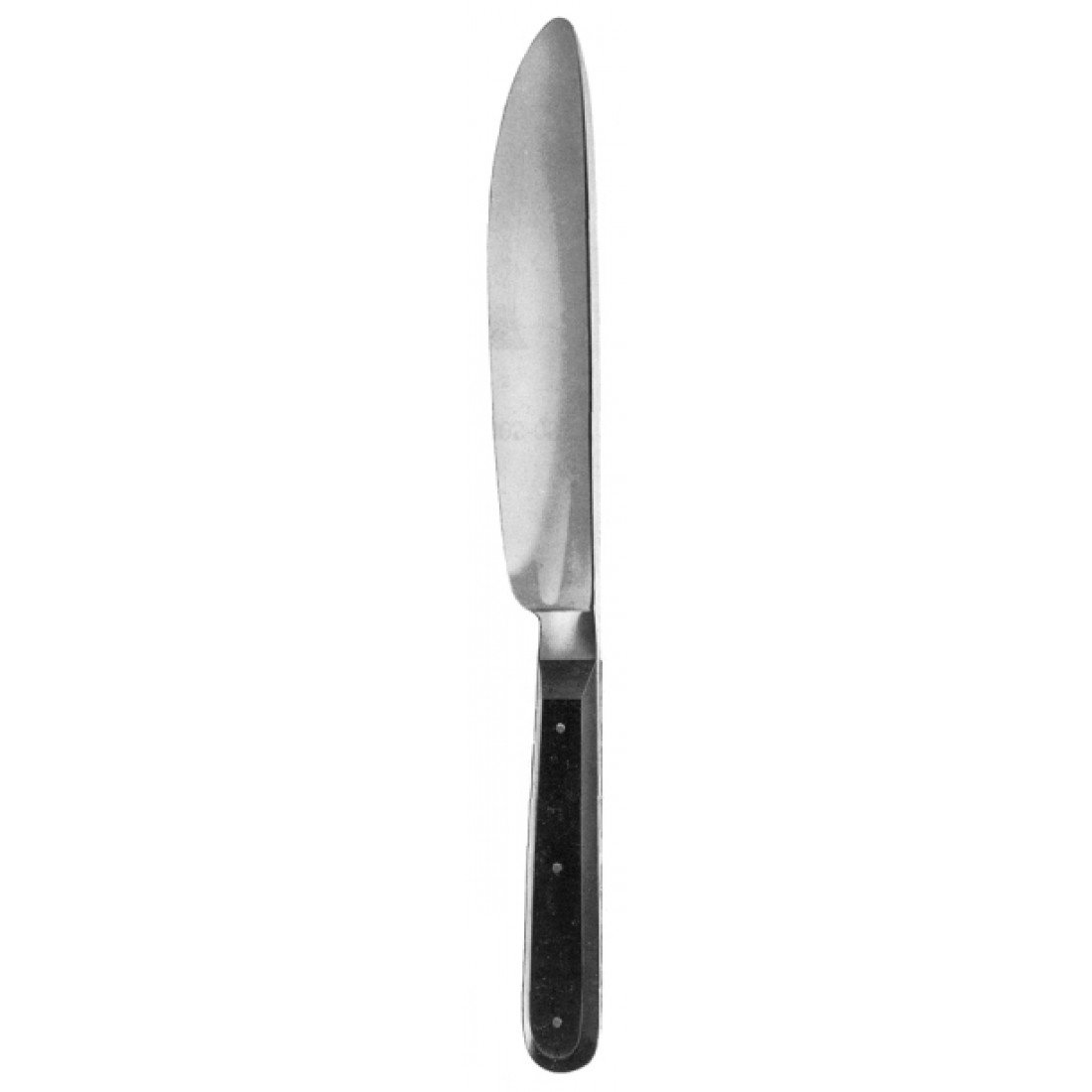 08.0036.17 Walb Otopsi Bıçağı 17cm
