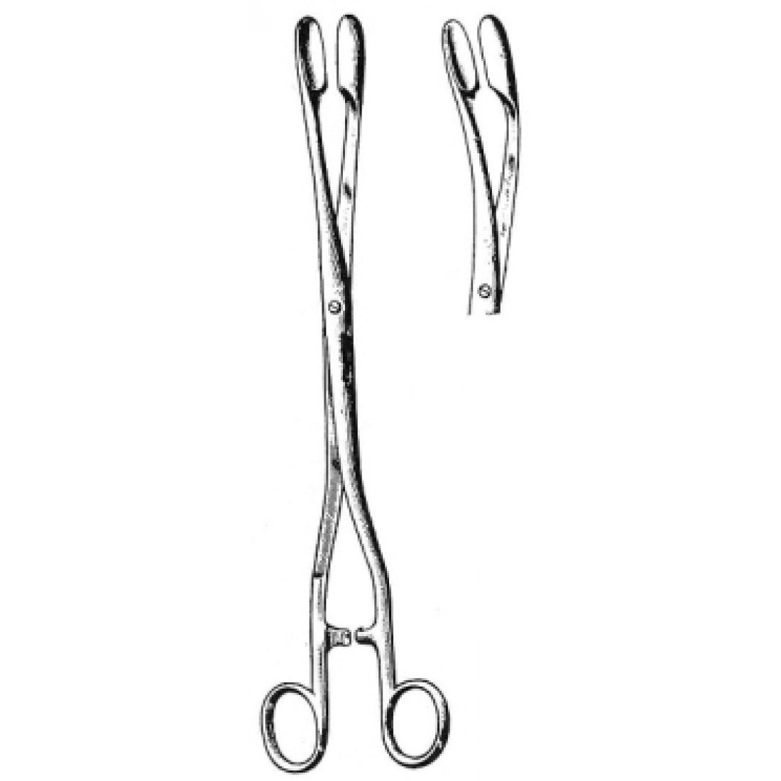 62.0427.02 Winter Plasenta Forsepsi Eğri Fig.2, 28cm