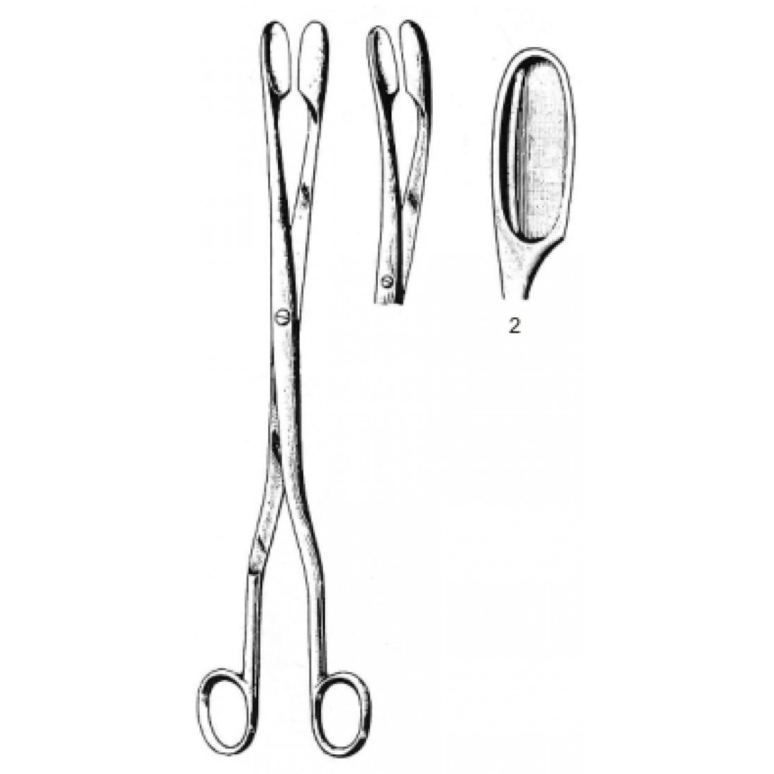 62.0421.02 Winter Forseps Eğri Fig.2, 28cm