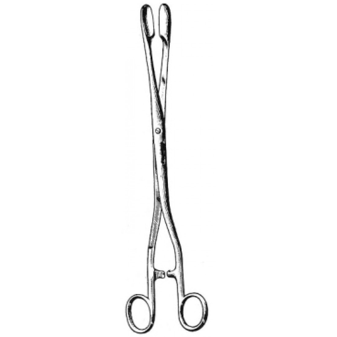 62.0426.01 Winter Plasenta Forsepsi Düz Fig.1, 28cm