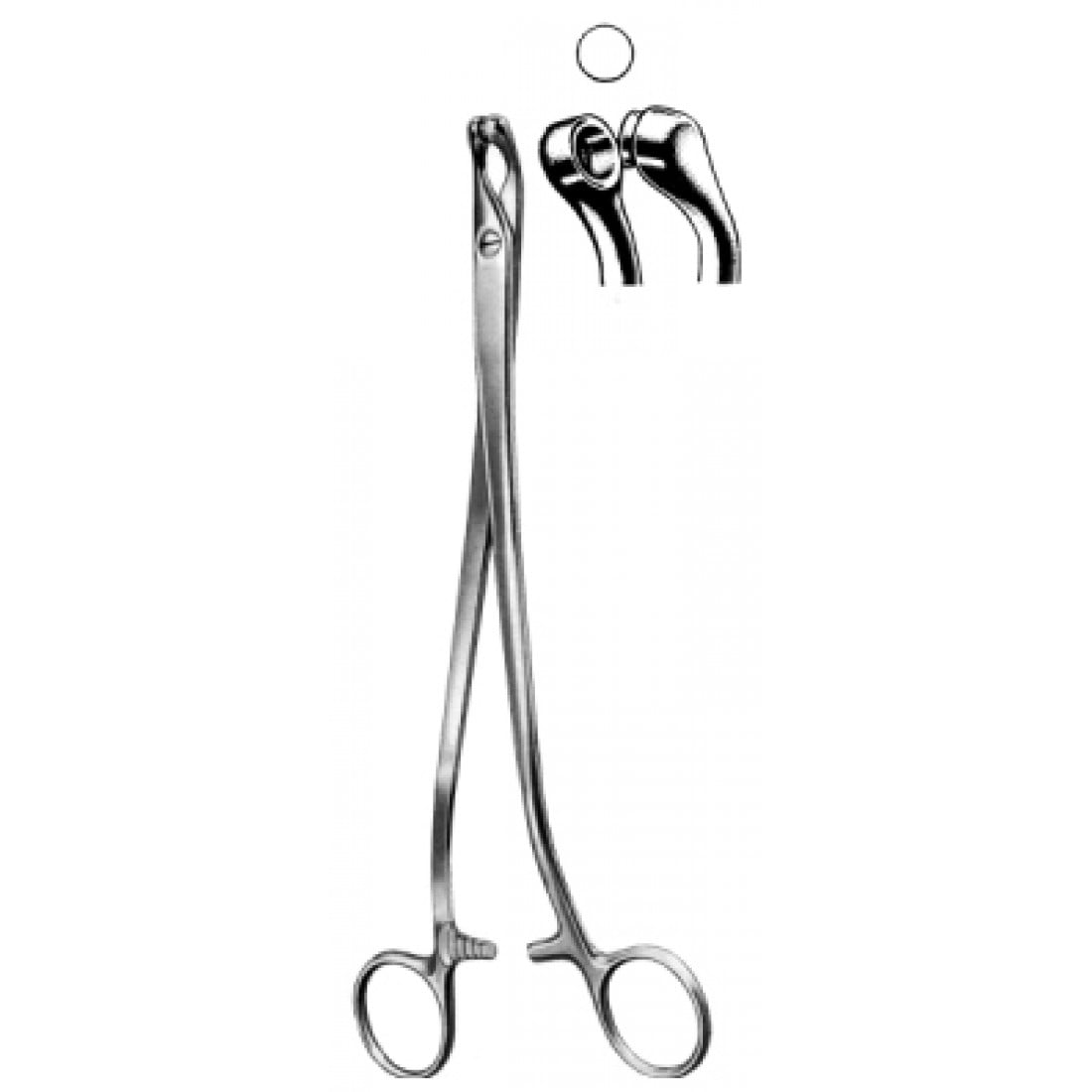 60.0750.24 Thomas Gaylor Biyopsi Forsepsi  24cm