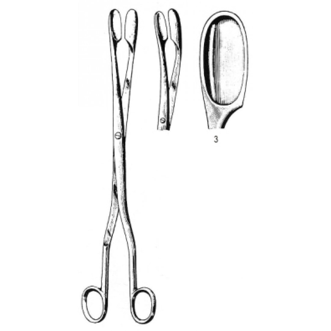 62.0420.03 Winter  Forseps Düz Fig.3, 28cm