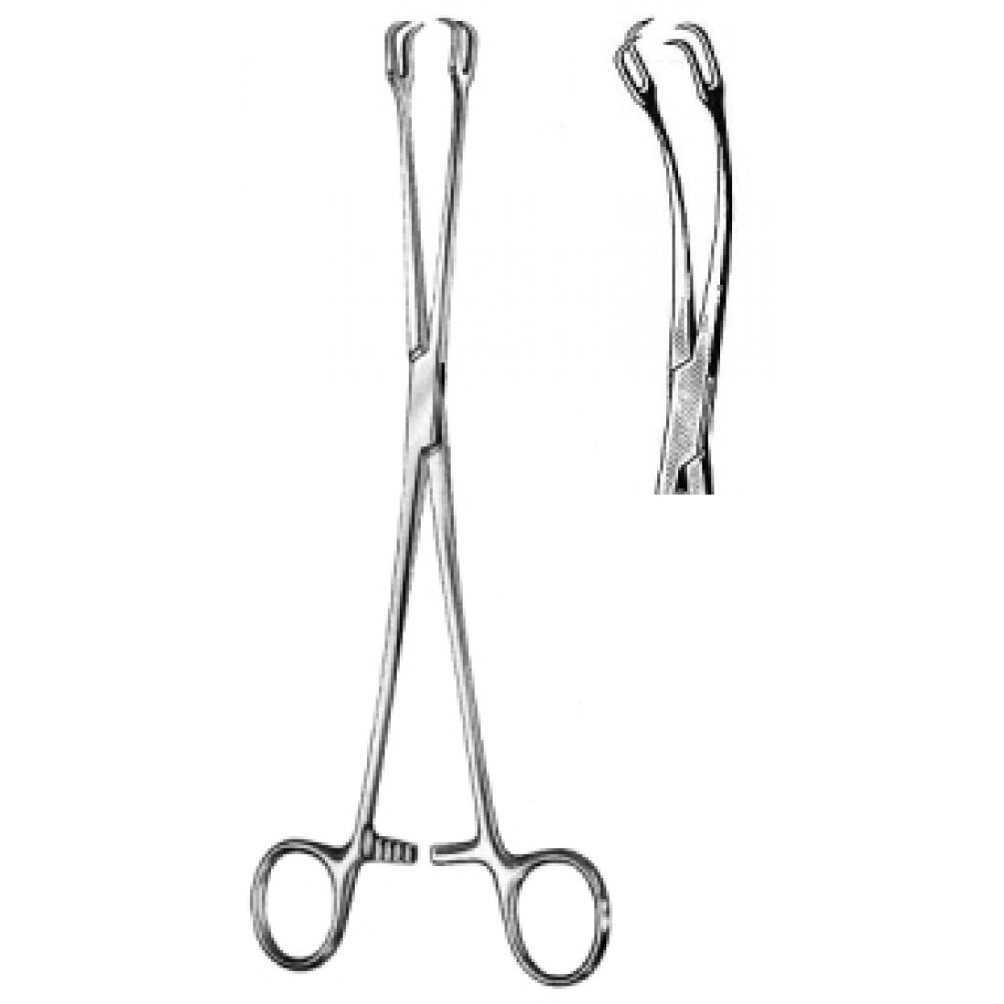 60.0603.24 Schroeder Vulsellum Forseps Eğri 2x2 Dişli 24cm