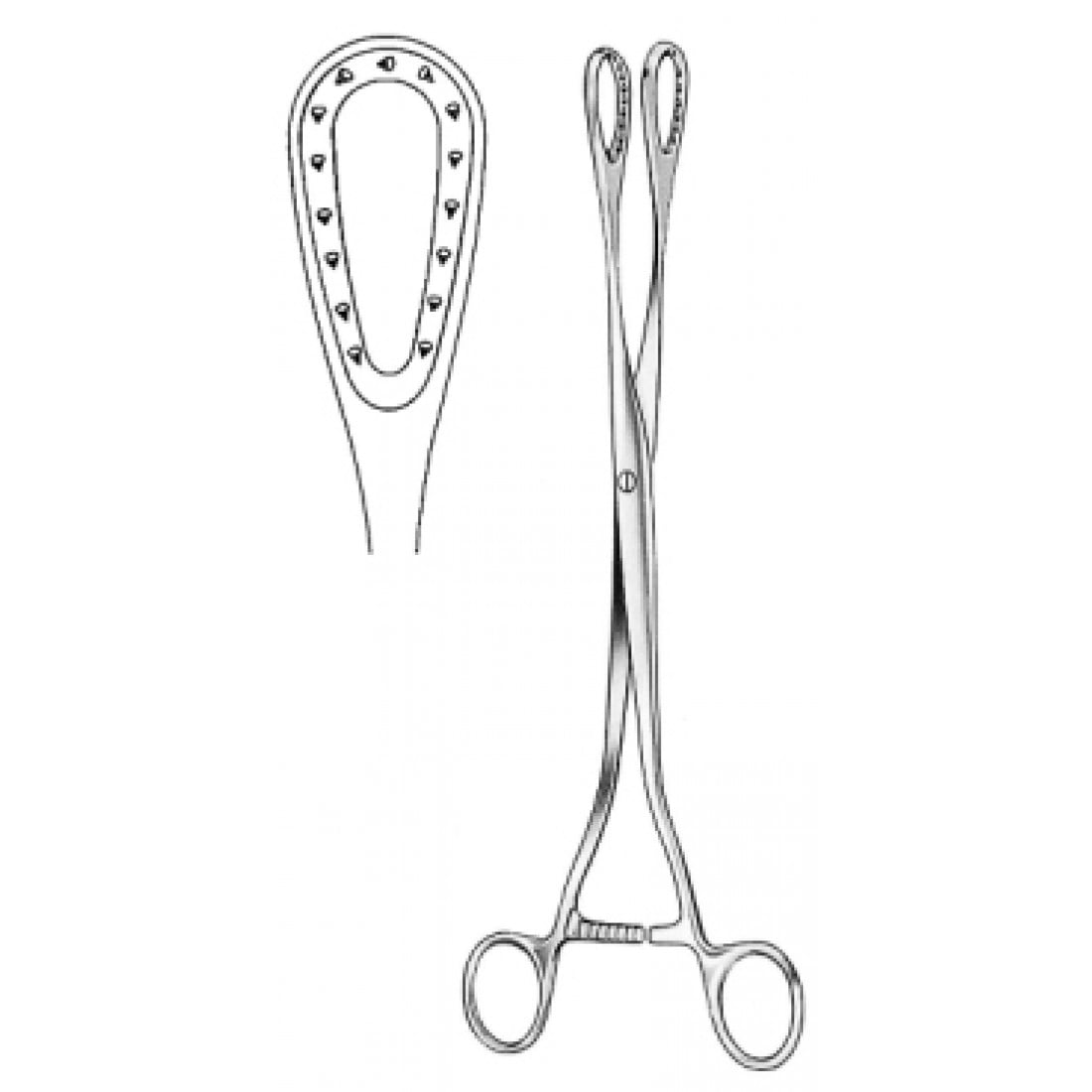 62.0370.27 Saenger  Forseps Düz 27cm