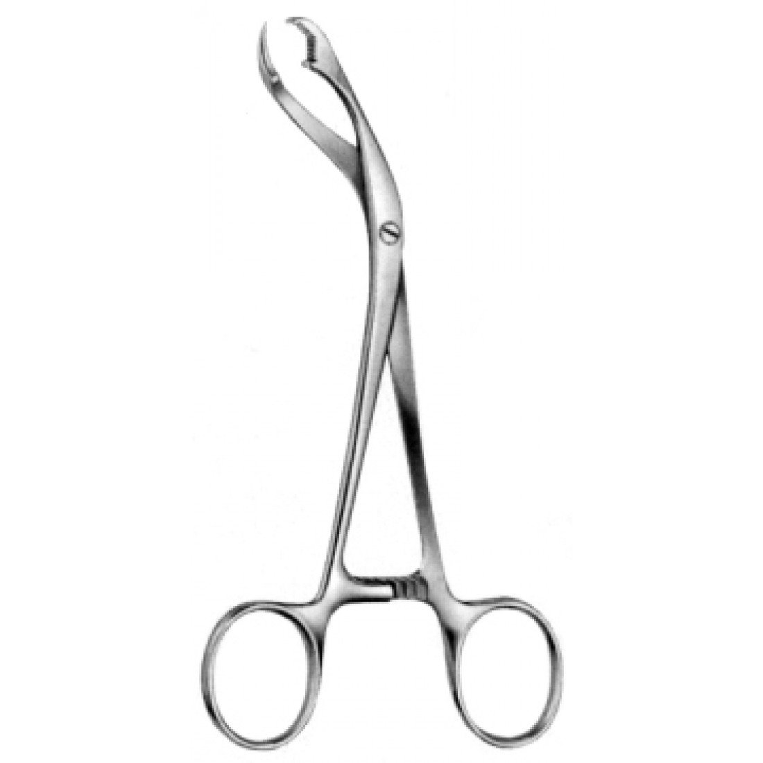 28.1080.17 Verbrugge Kemik Tutma Forsepsi  17.5cm