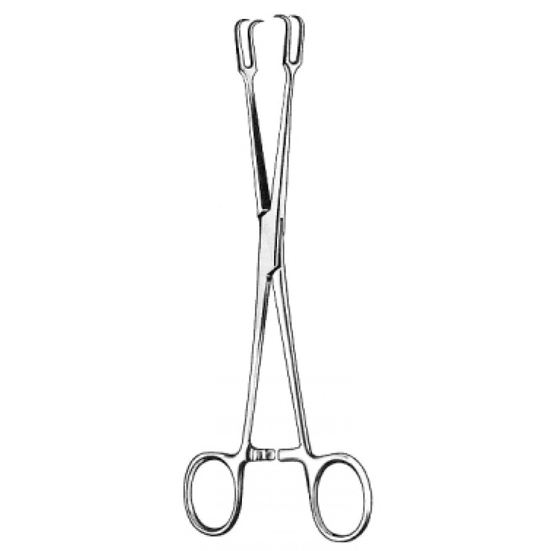 50.0180.20 Museux Tonsil Kavrama Forsepsi 20cm