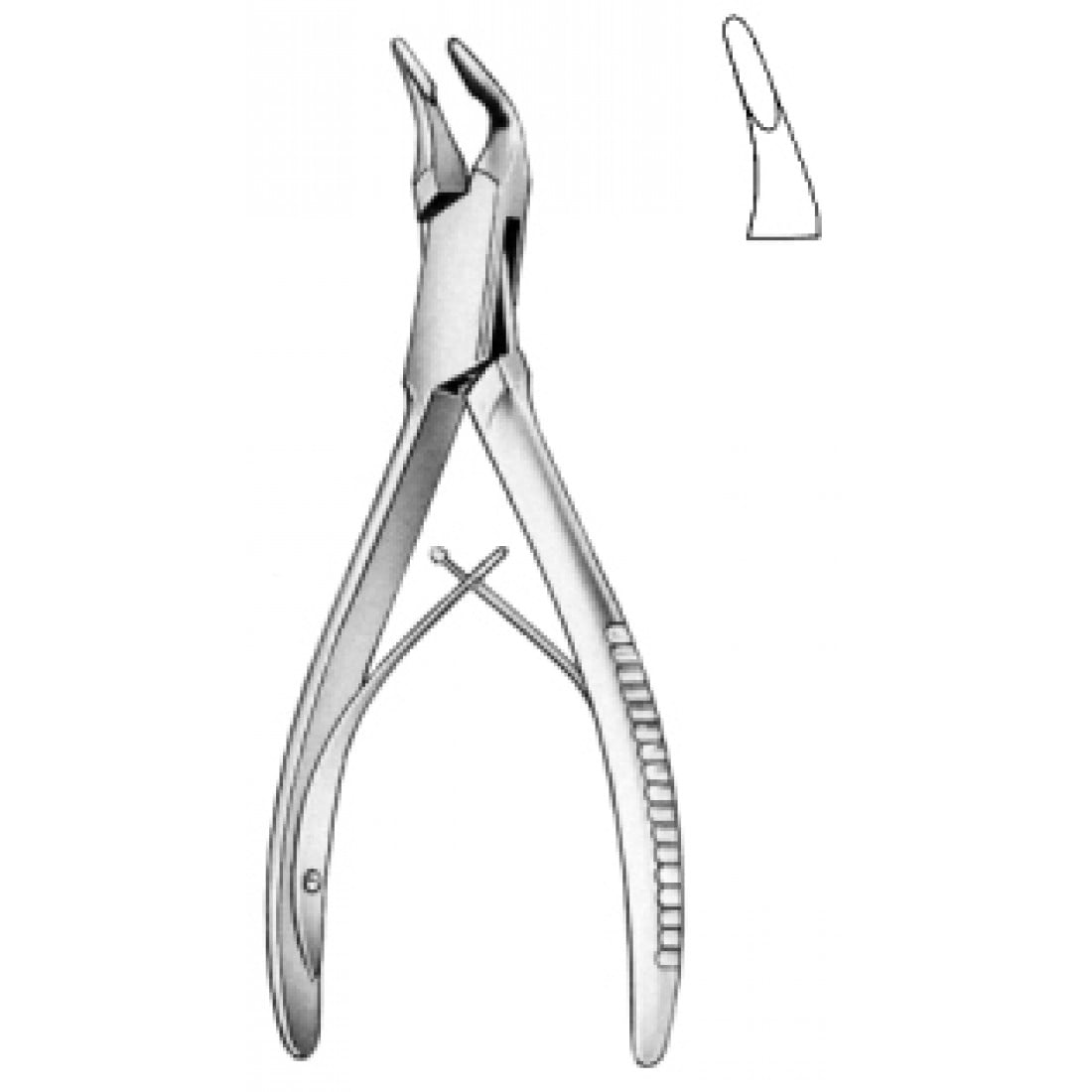28.1180.01 Blumenthal Kemik Ronjuru Hafif Eğri 15.5cm