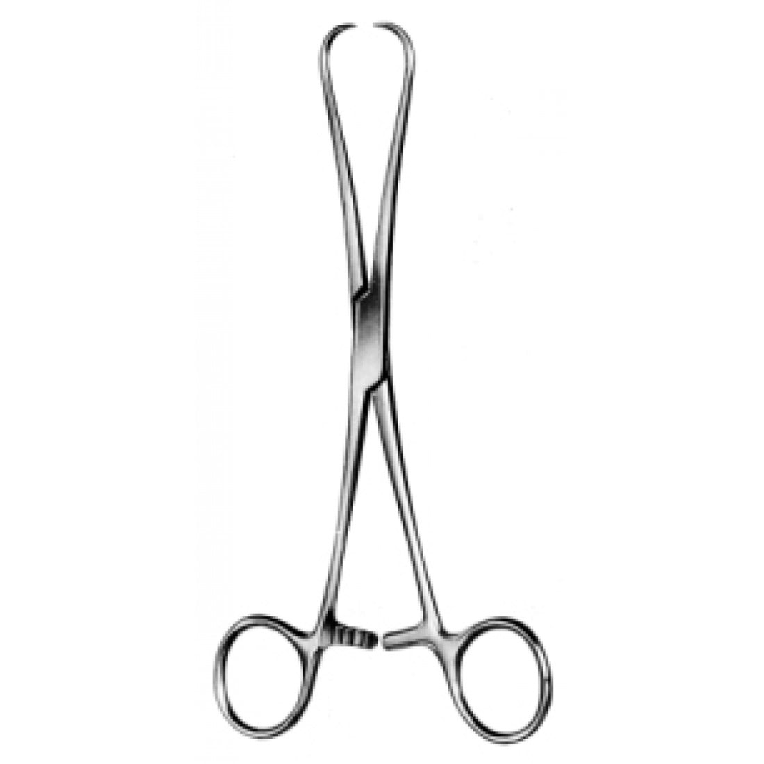 60.0550.17 Staude-Moore Tenakulum Forseps 17cm