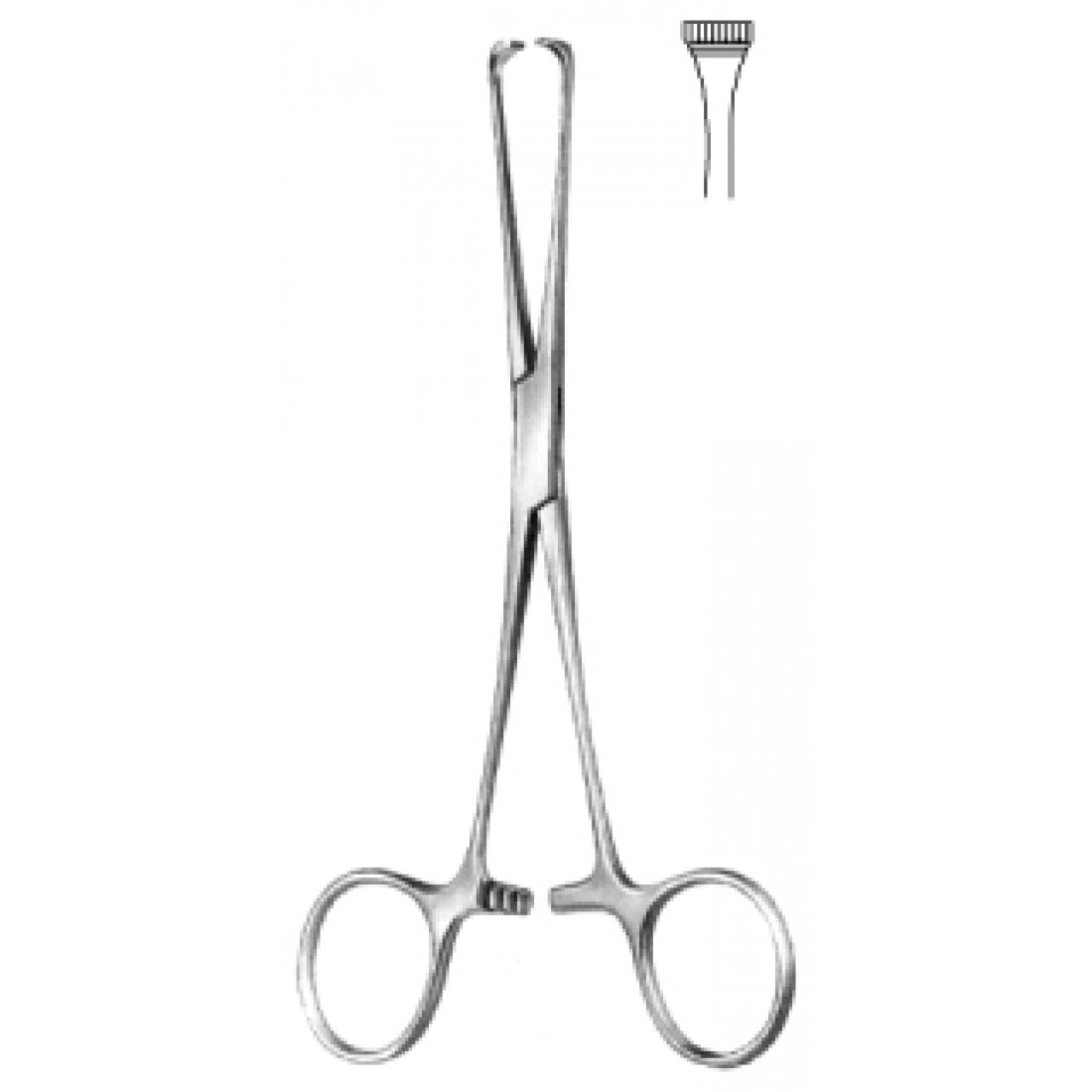 52.0030.15 Boys Allis Bağırsak Doku Forsepsi 15cm
