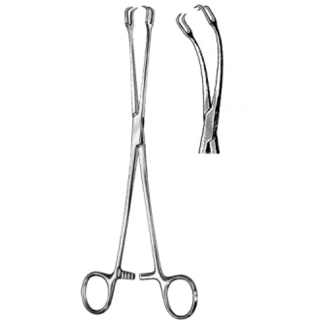 60.0601.26 Schroeder Vulsellum Forseps Yana Eğri 2x2 Dişli, 26cm