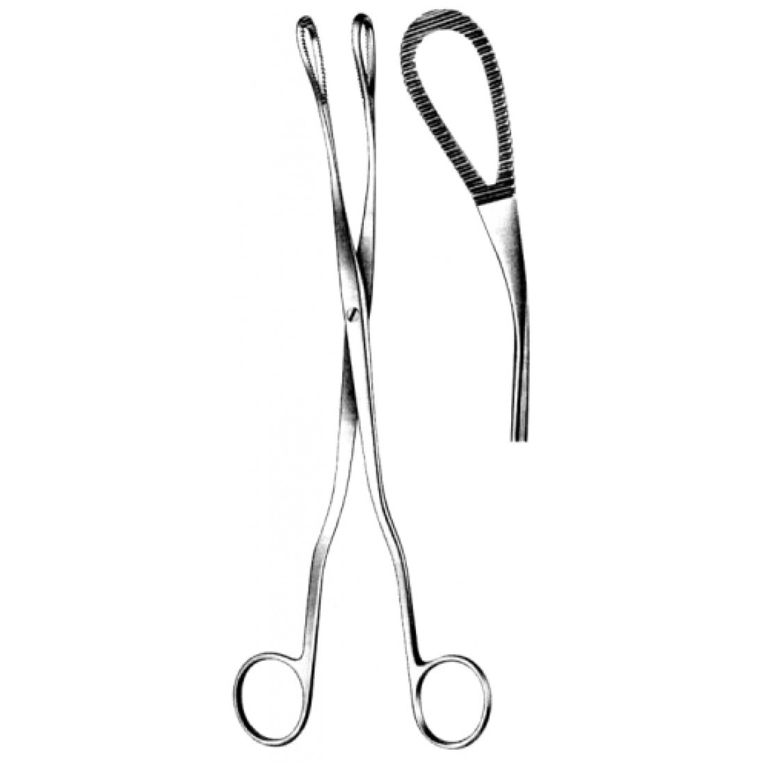 62.0430.24 McClintock Forseps Eğri 24cm