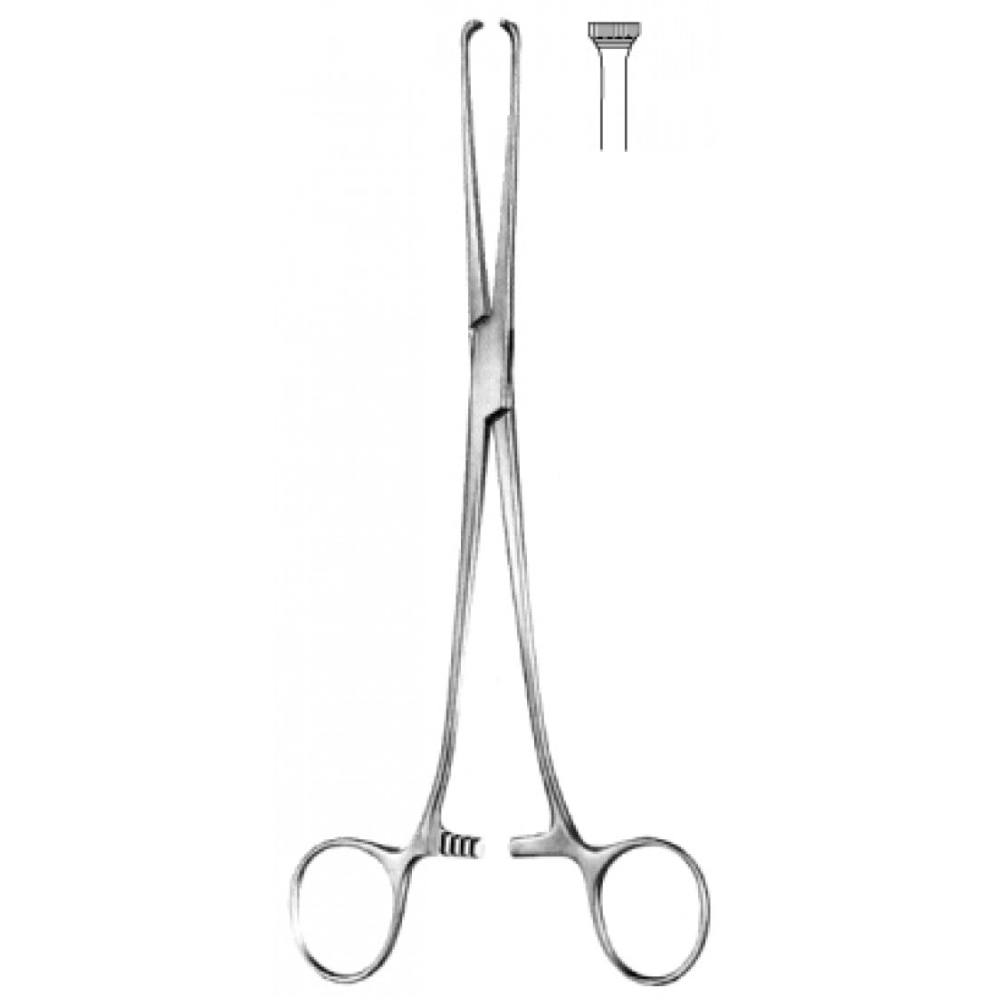 52.0080.20 Allis Doku Forsepsi 5x6 Dişli 20cm
