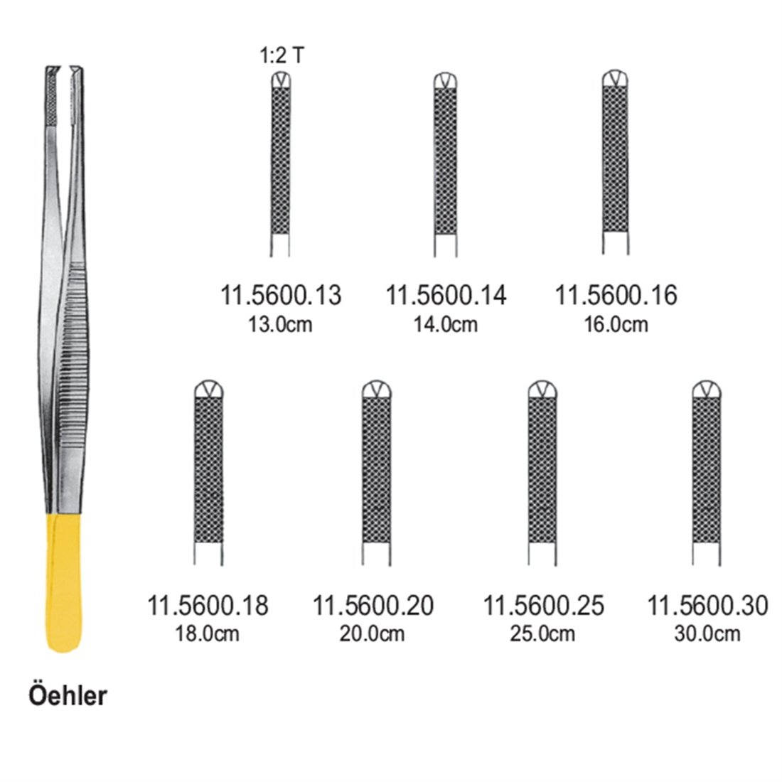 11.5600.13 Oehler Forseps  1x2T 13cm TC