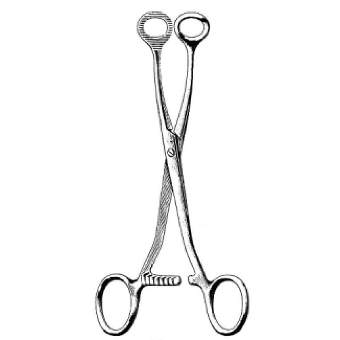 48.0304.16 Collin Dil Tutma Forsepsi 16cm