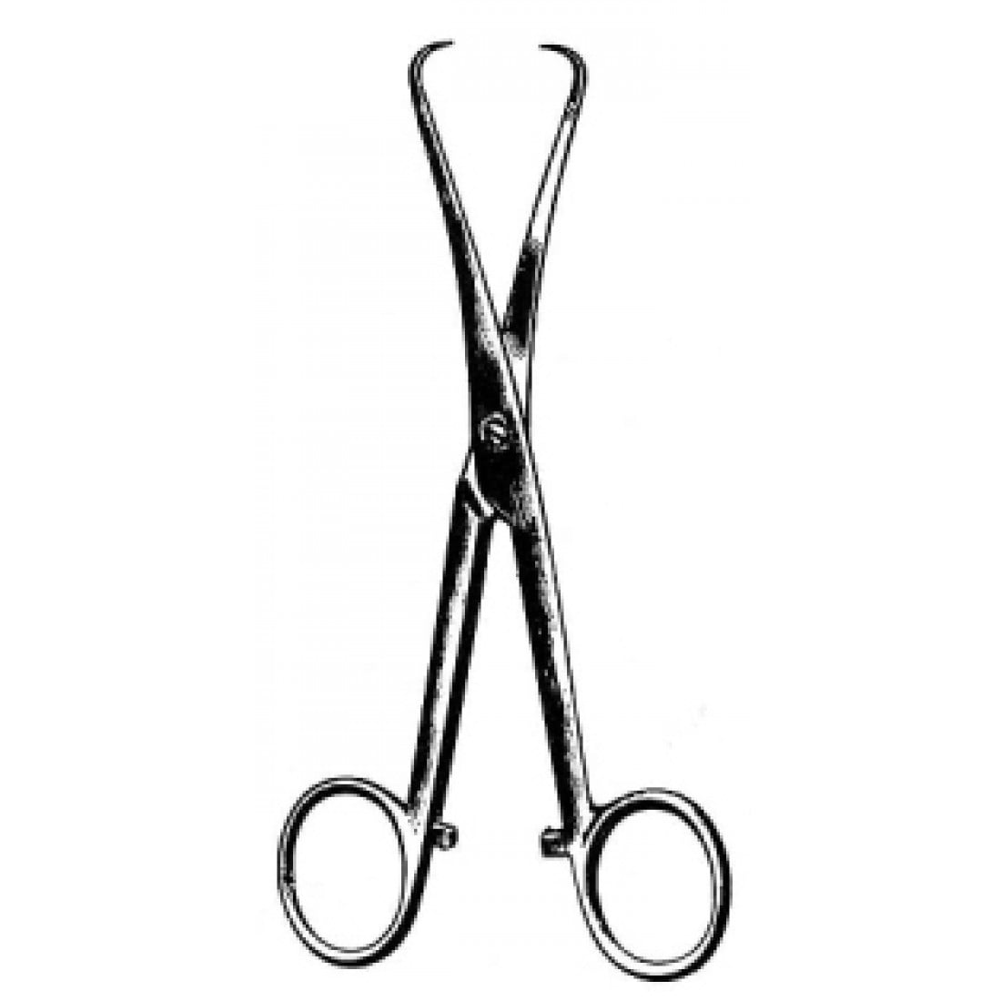 48.0300.15 Loebker Dil Tutma Forsepsi 15.5cm