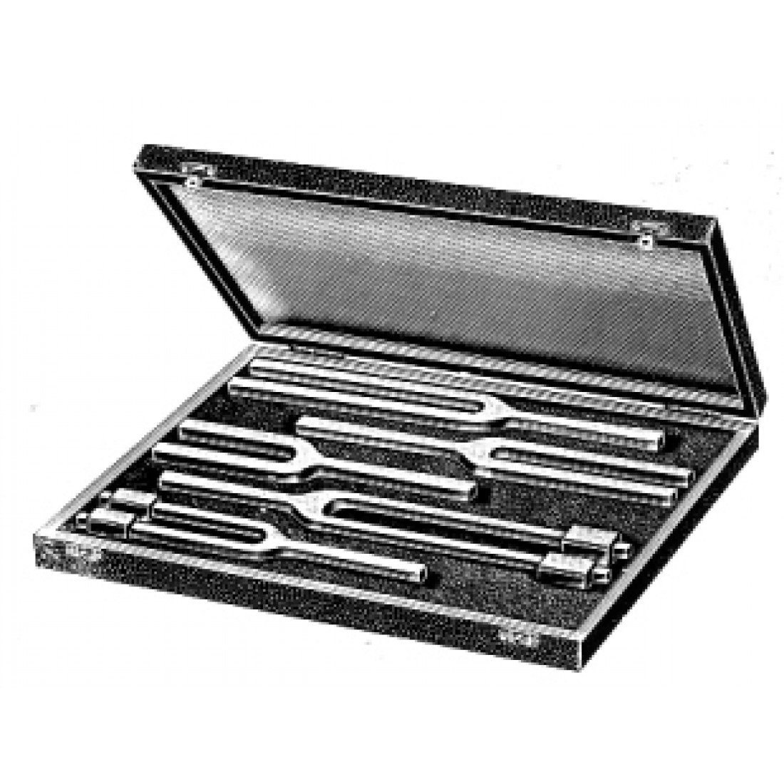 44.0670.00 Hartmann Diyapazon set/5 Kutu İçinde
