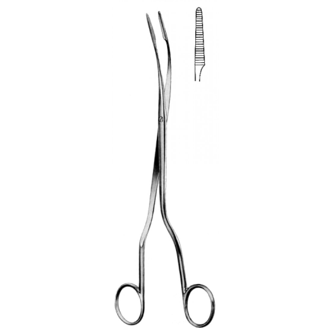 56.0070.24 Czerny Safra Taşı Forsepsi  24.5cm
