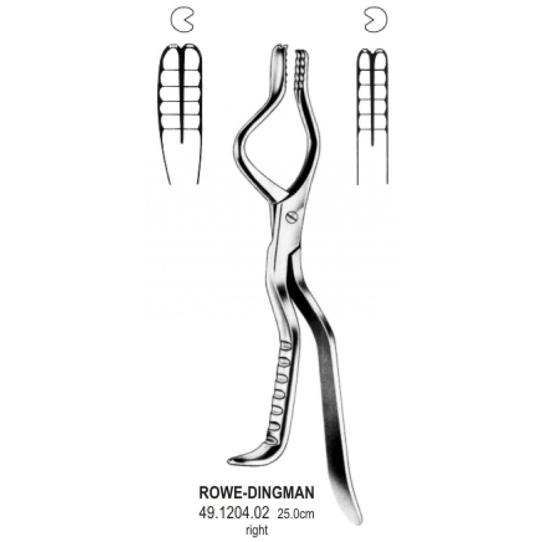 49.1204.02 Rowe Dingman Forseps Sağ 25cm