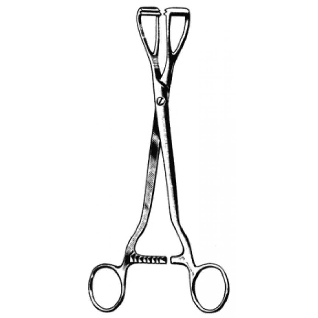 58.0146.20 Young Forseps 20cm