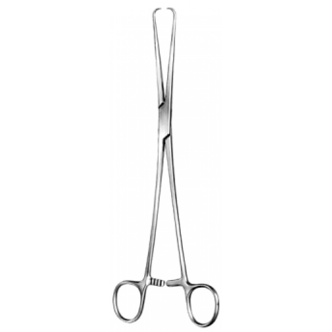 60.0580.25 Schroeder Tenakulum Forseps Düz  25cm