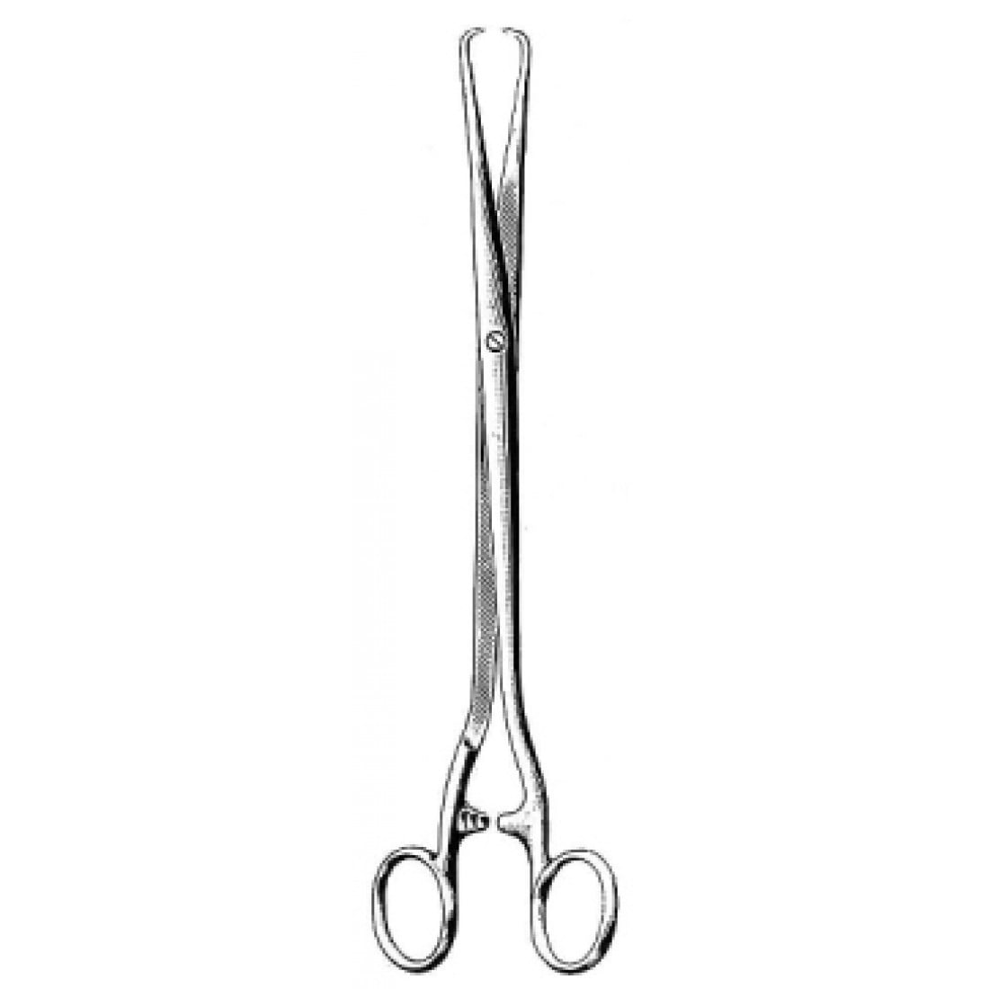 60.0546.25 Schroeder Tenakulum Forseps  25cm