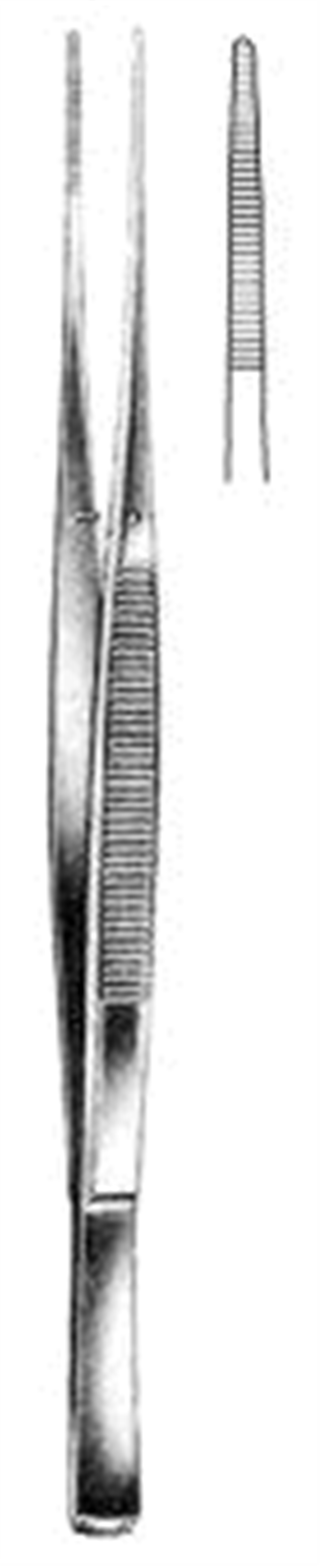 12.0102.17 Taylor Forseps Düz 17.5cm