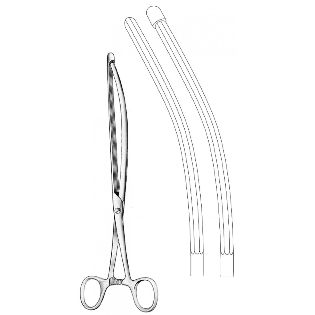52.0381.30 Nussbaum Bağırsak Klempi Eğri 30cm