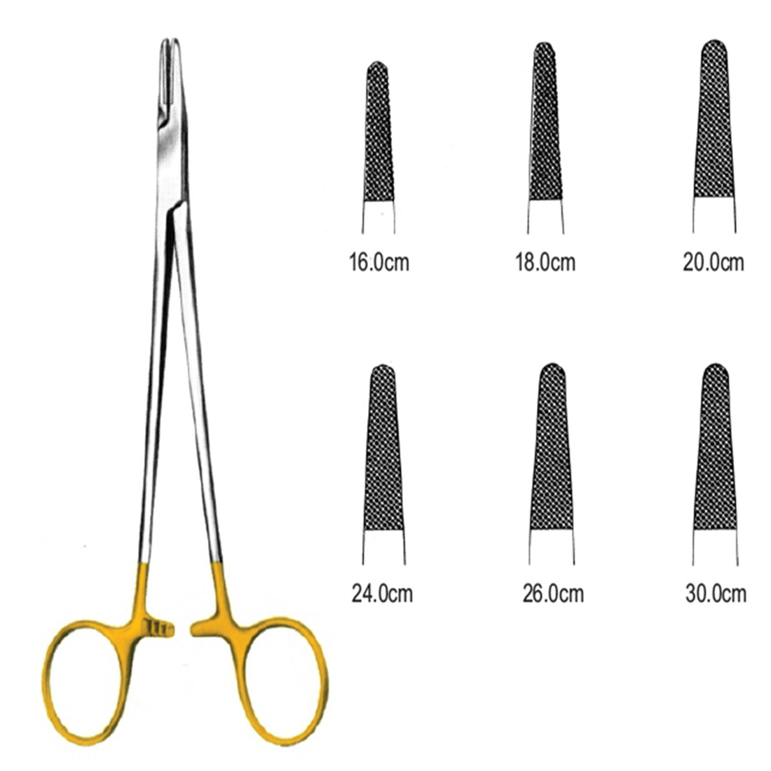 21.5050.30 Mayo Hegar Portegü 30cm TC