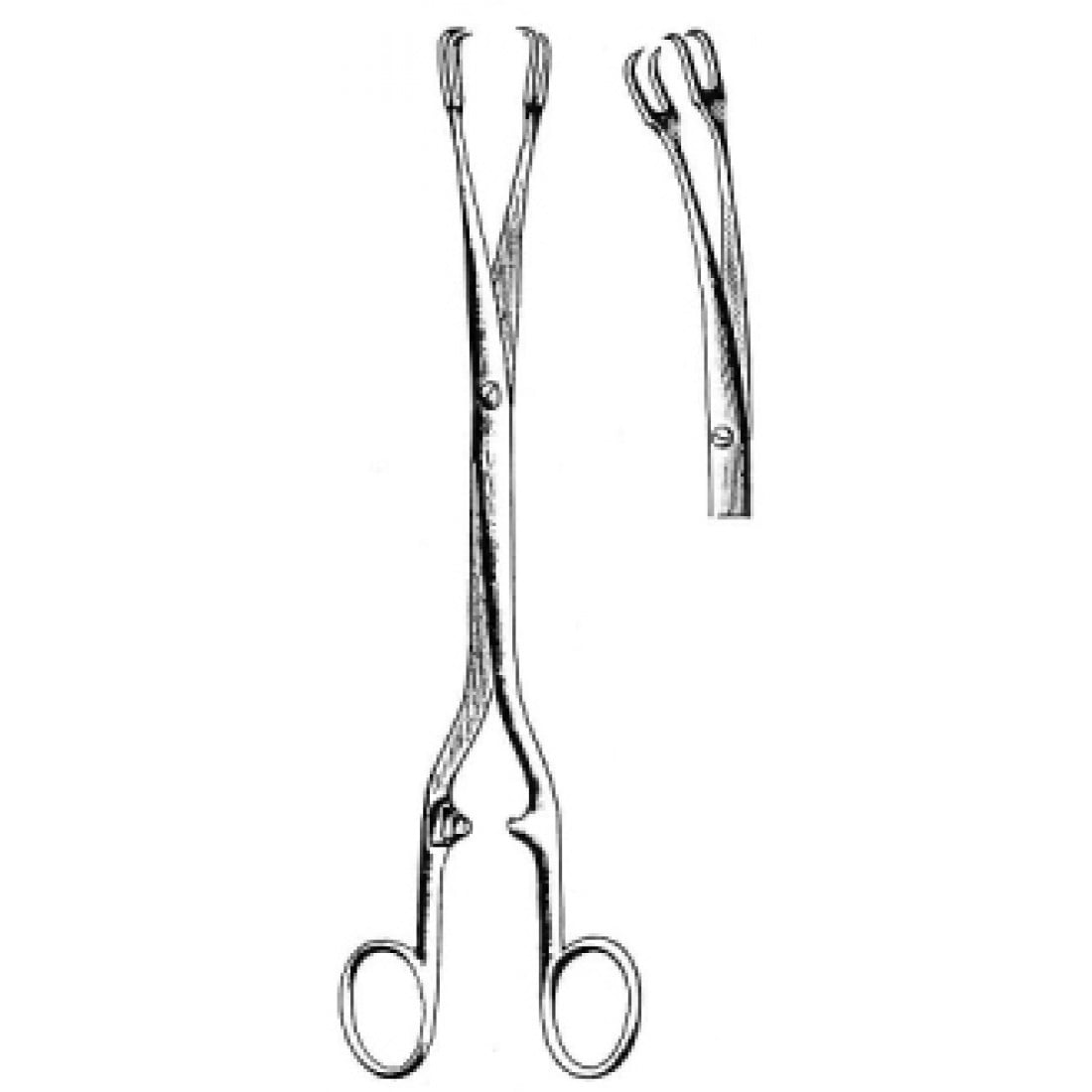 60.0607.26 Schroeder Vulsellum Forseps Açılı 26cm
