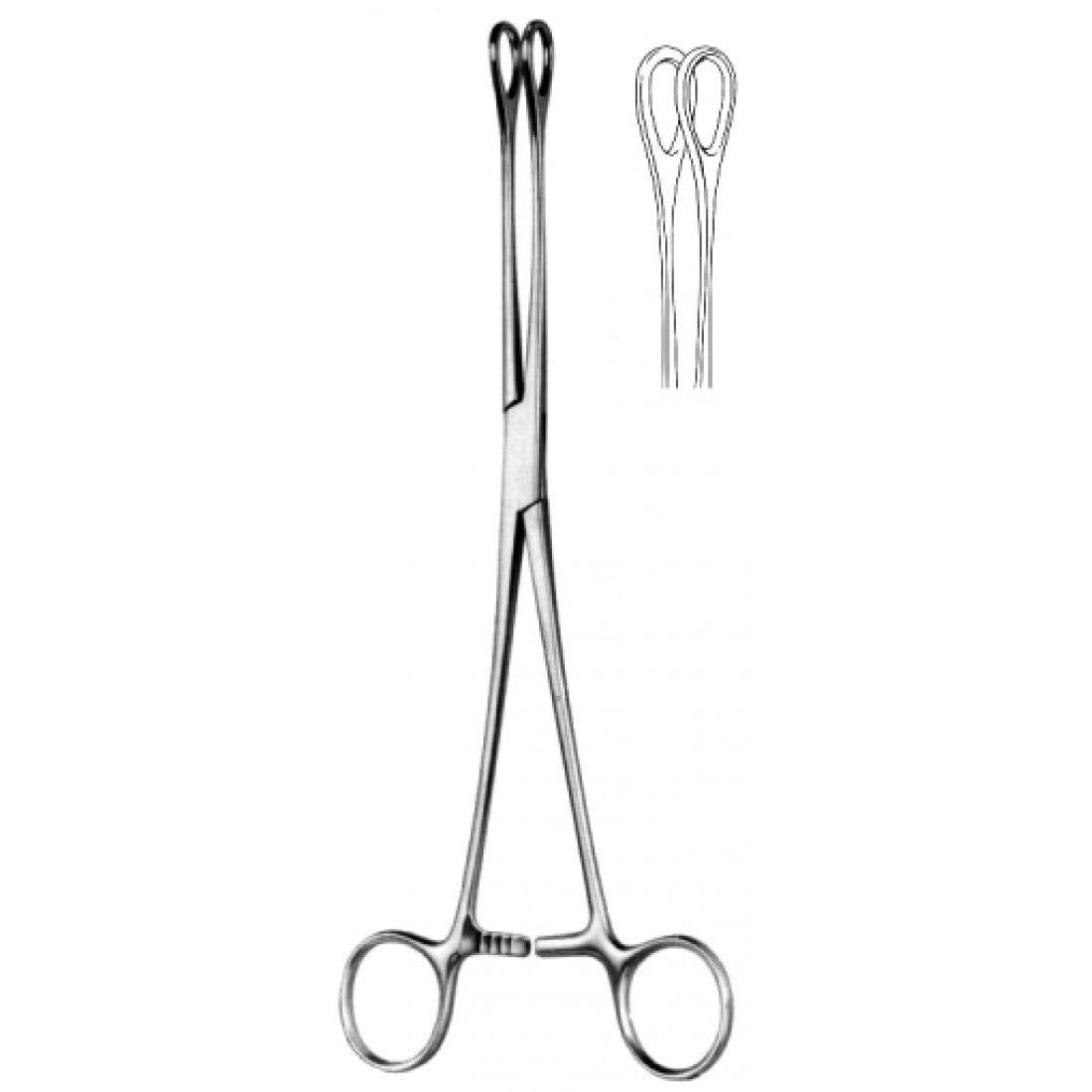 16.0080.25 Foerster Sünger Tutma Forsepsi  str 25cm