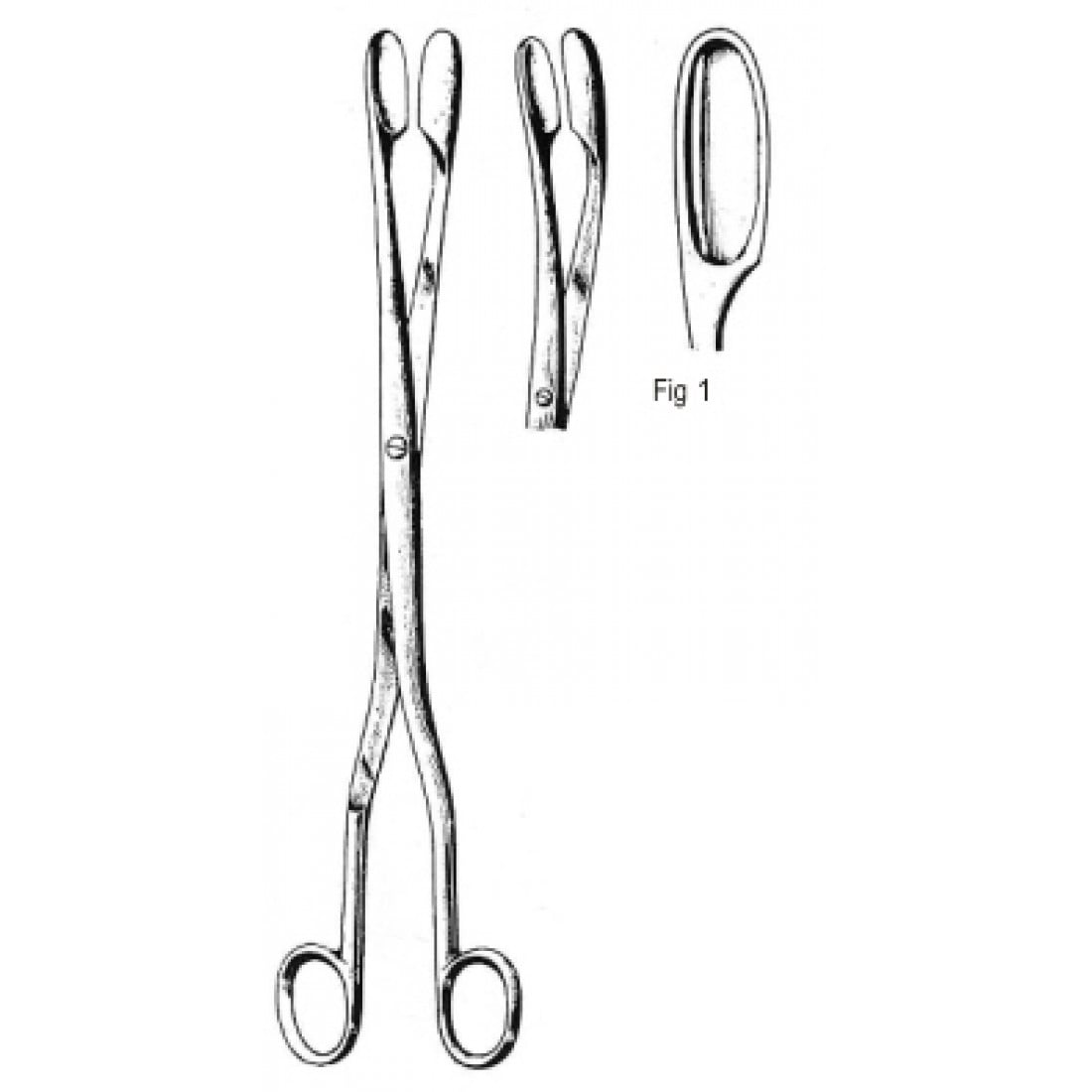 62.0420.01 Winter Forseps Düz Fig.1, 28cm